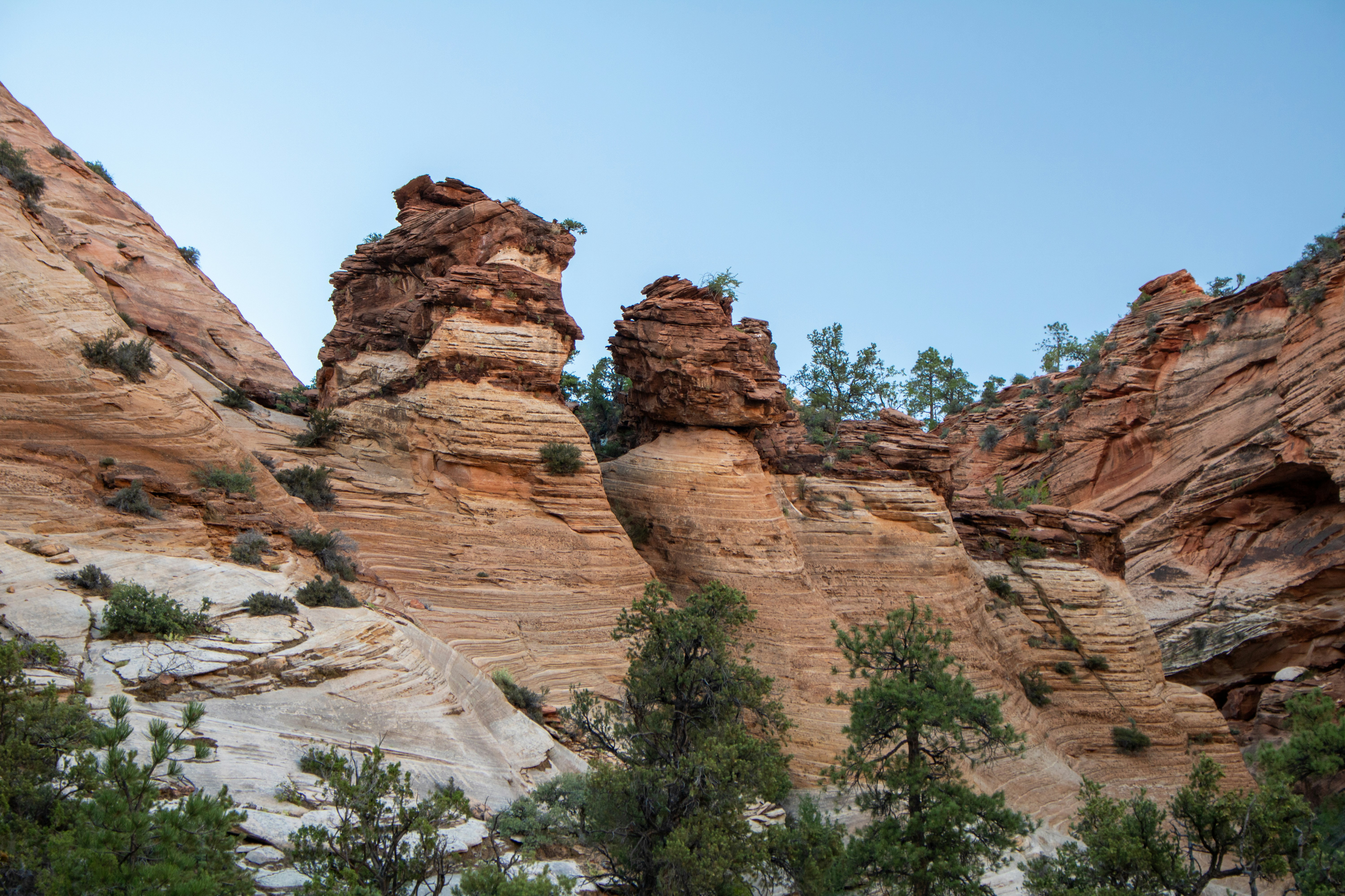 Photo by zoshuacolah