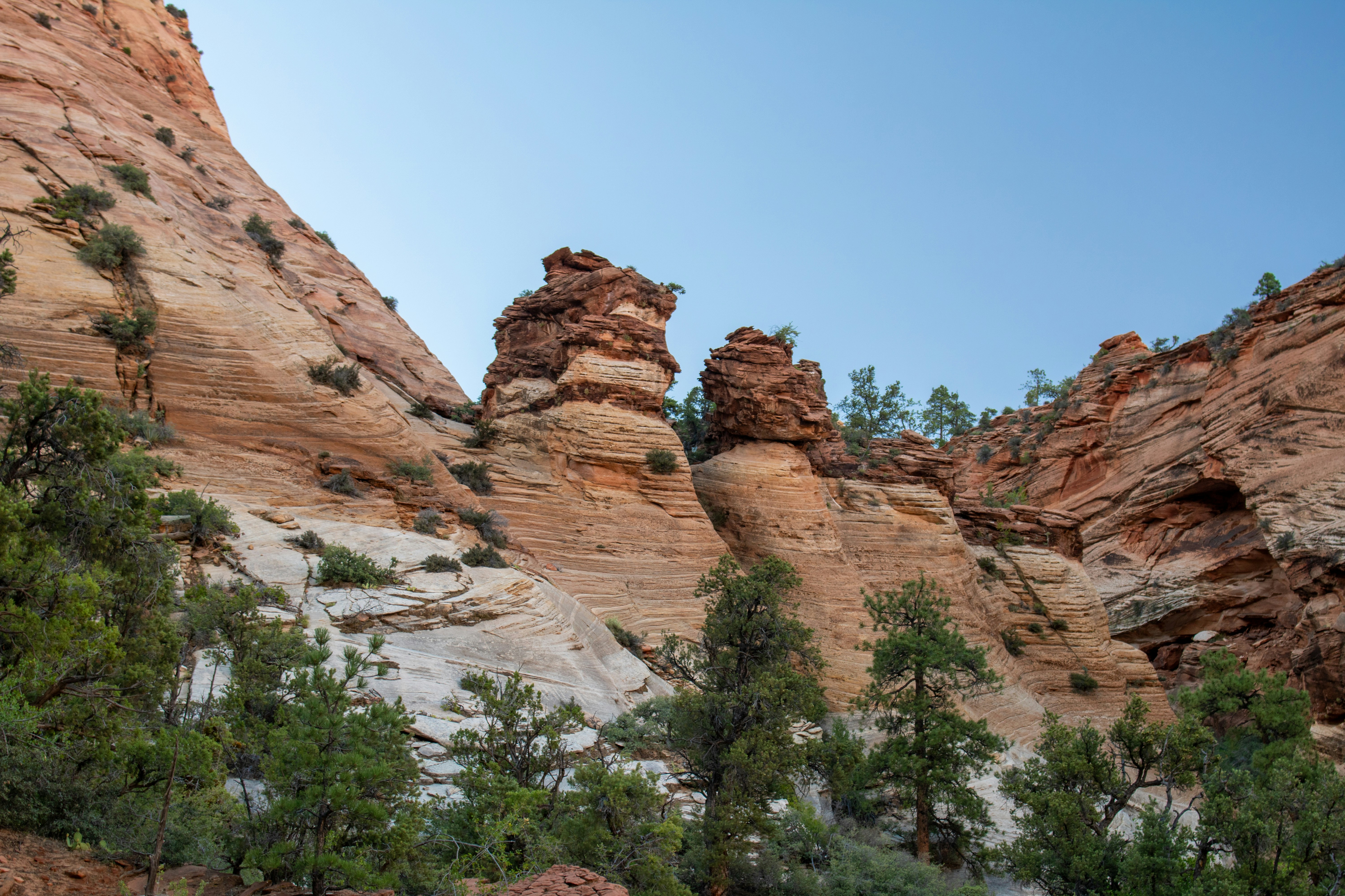 Photo by zoshuacolah