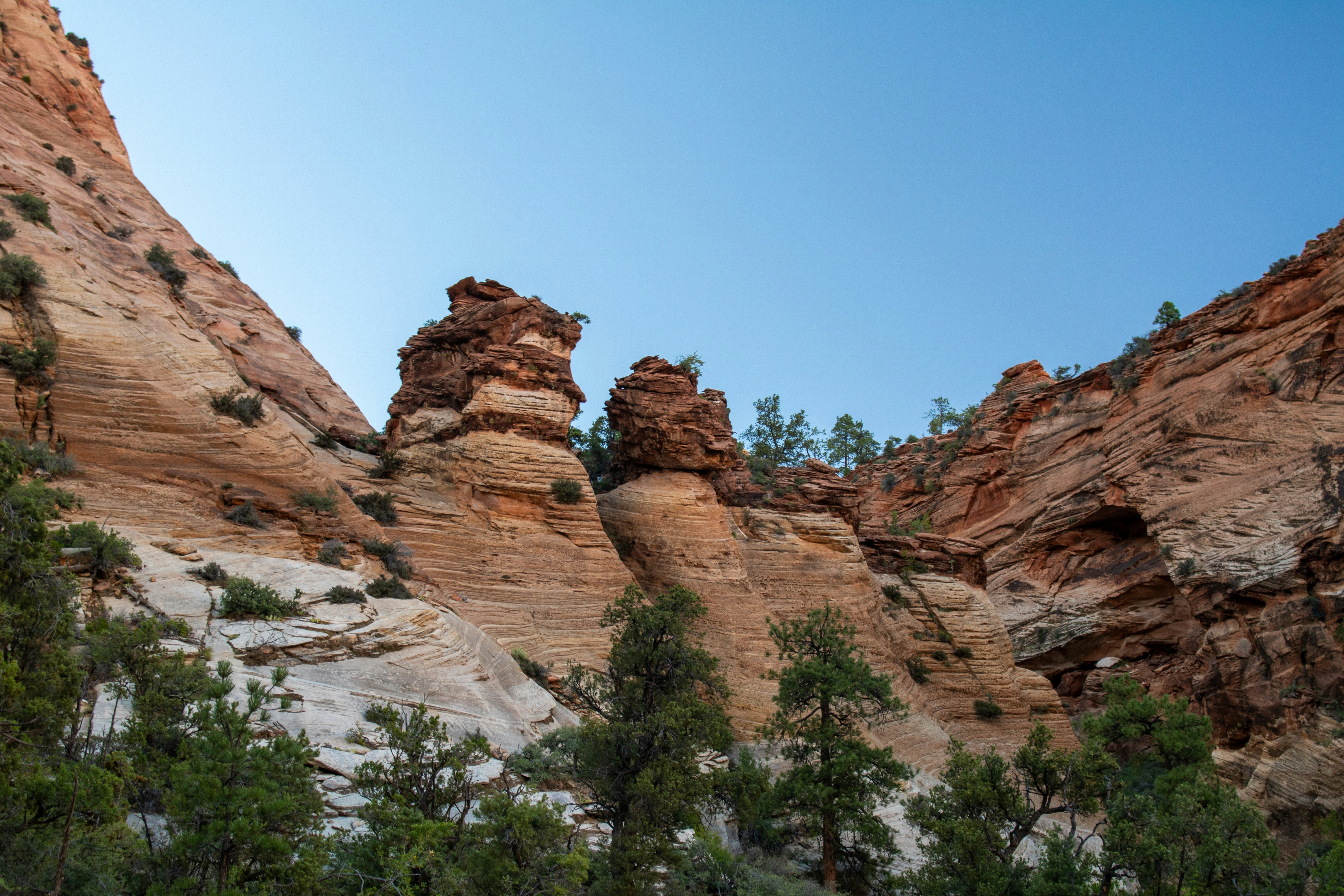 Photo by zoshuacolah