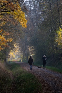 Two people walking down a path in the woods