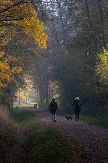 Two people walking down a path in the woods