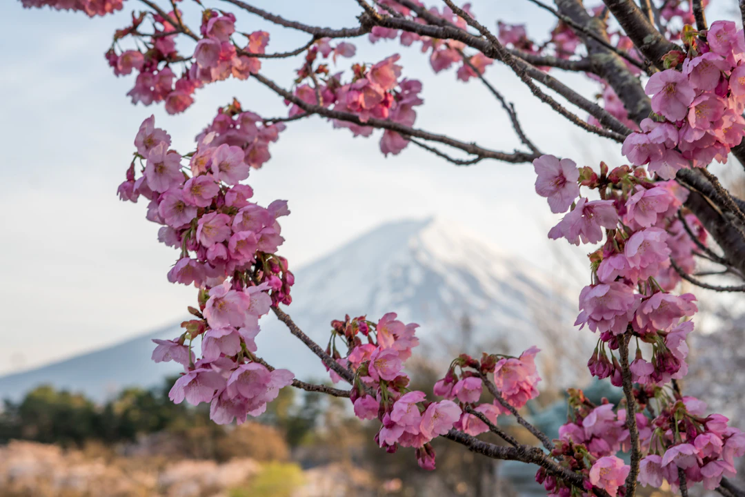 26-Day Luxury Scenic Asia Itinerary: Japan, Korea, Taiwan