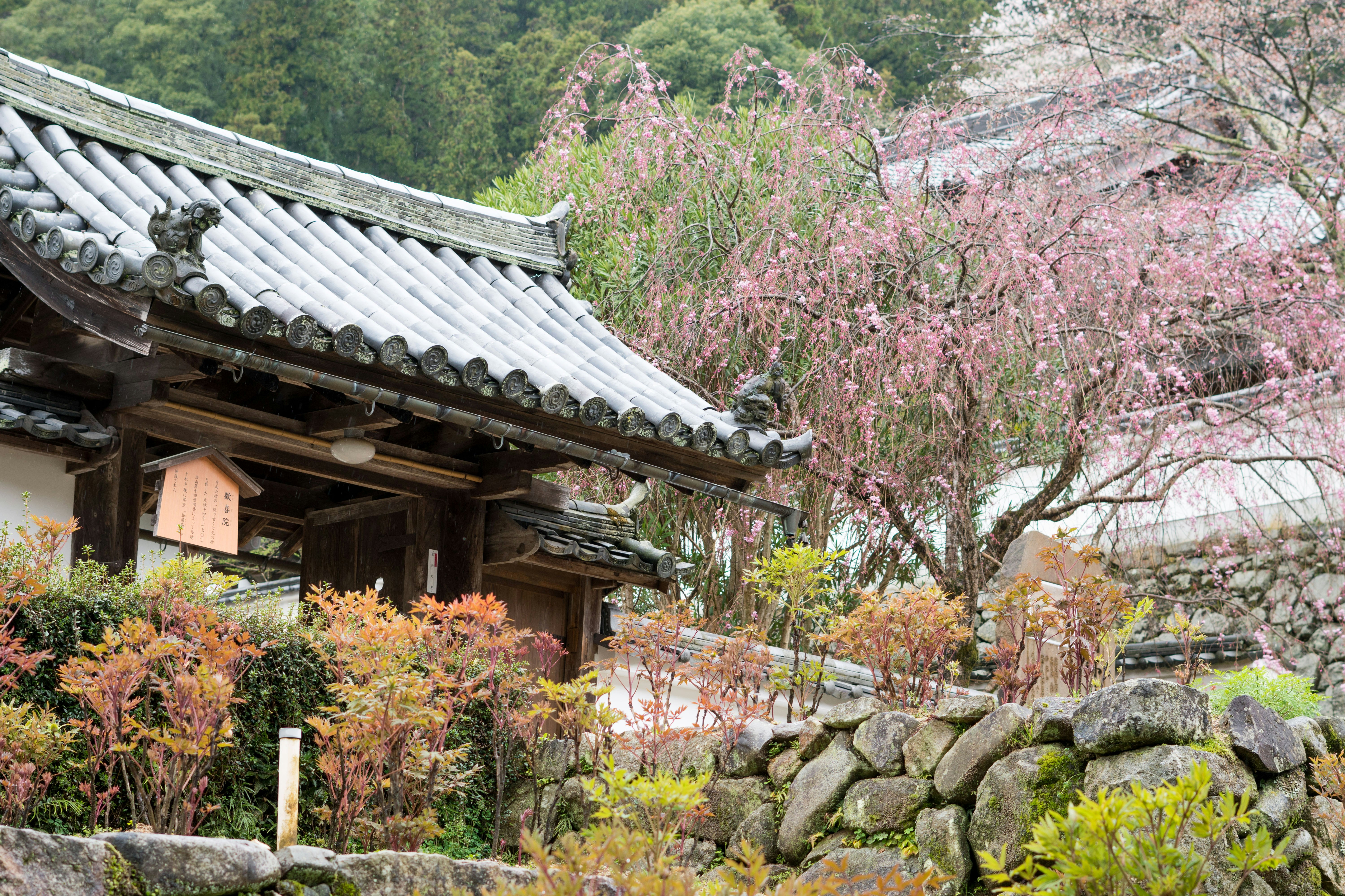 Photo by antonioaaaraujo