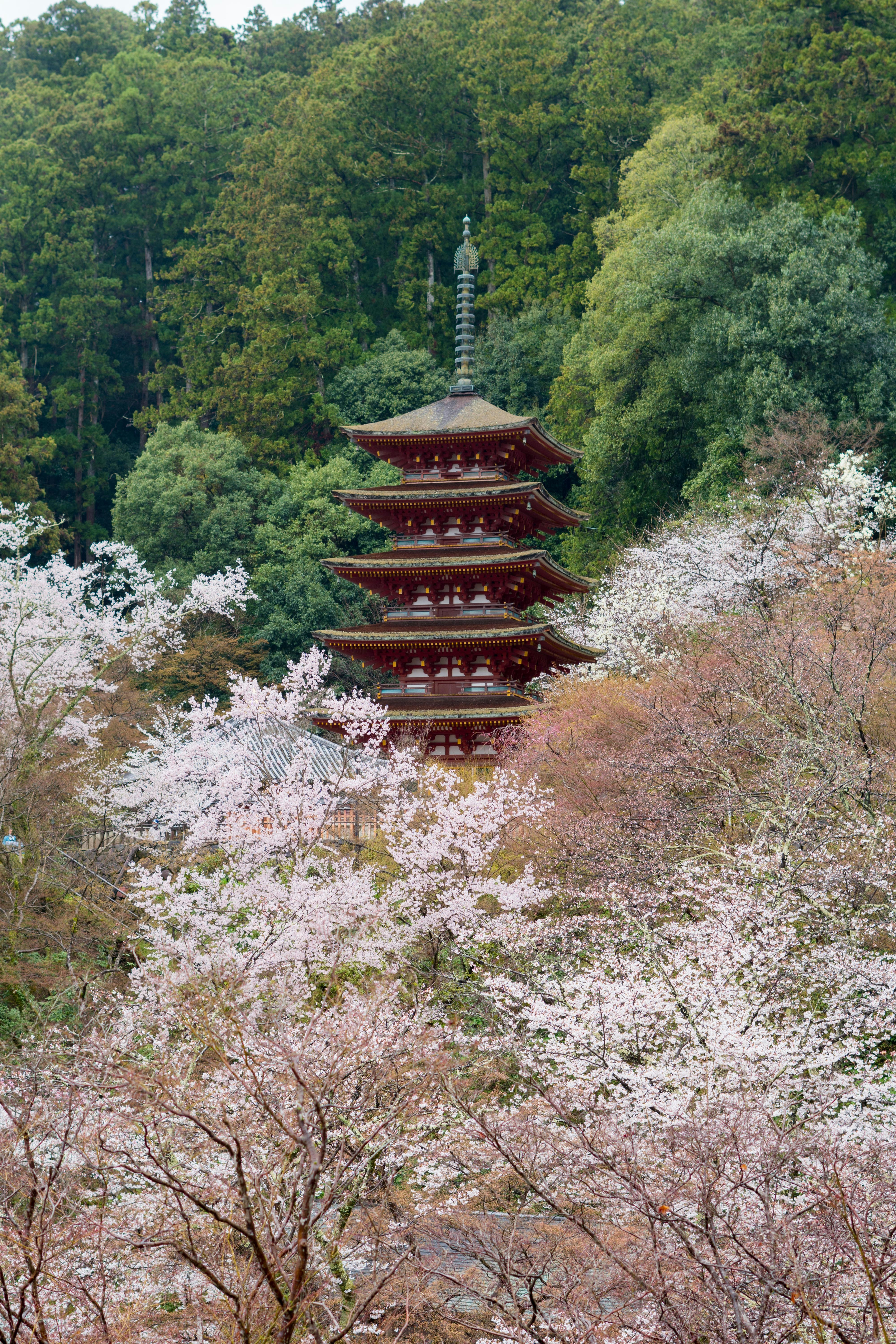 Photo by antonioaaaraujo