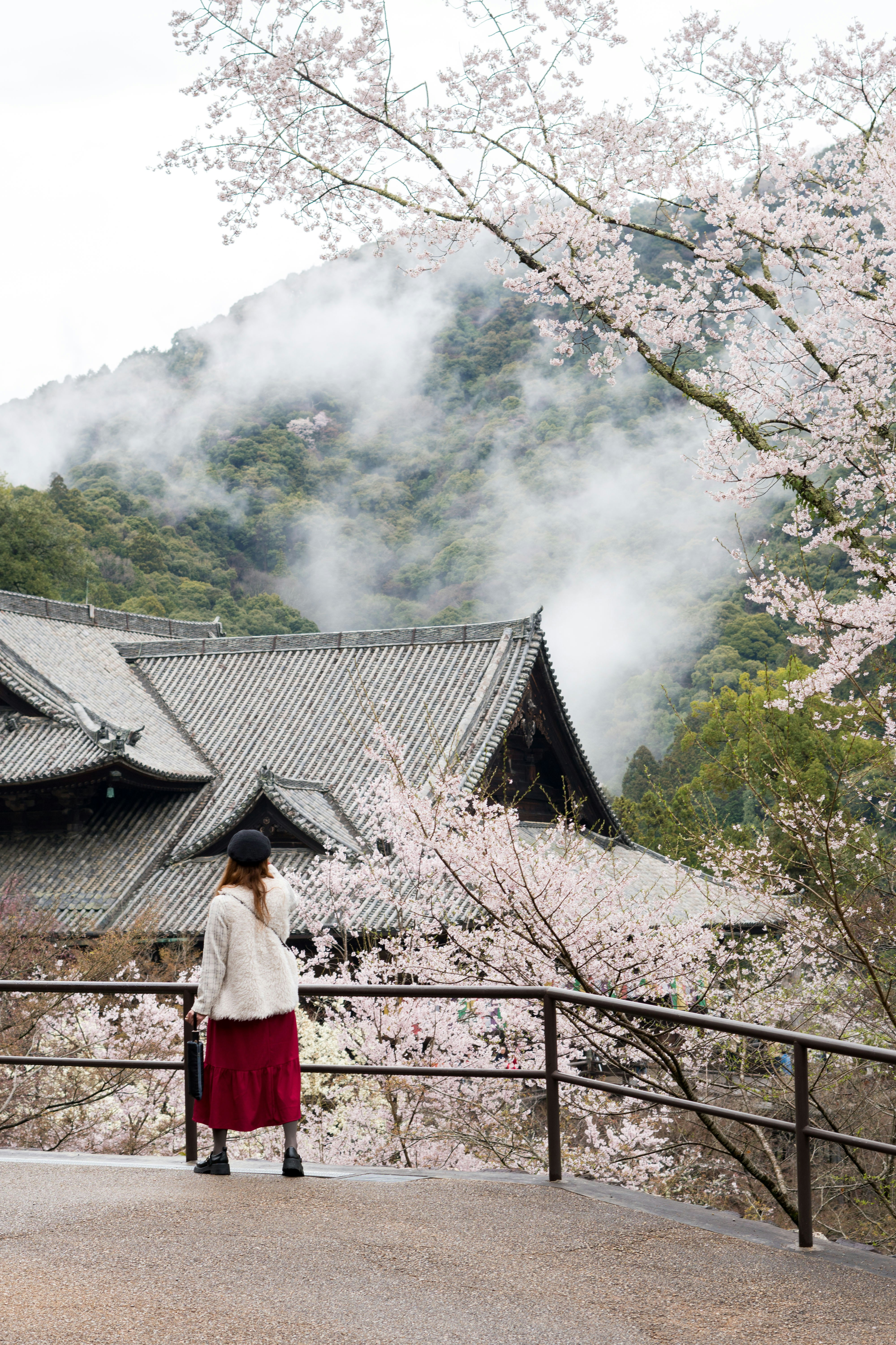 From Osaka or Kyoto