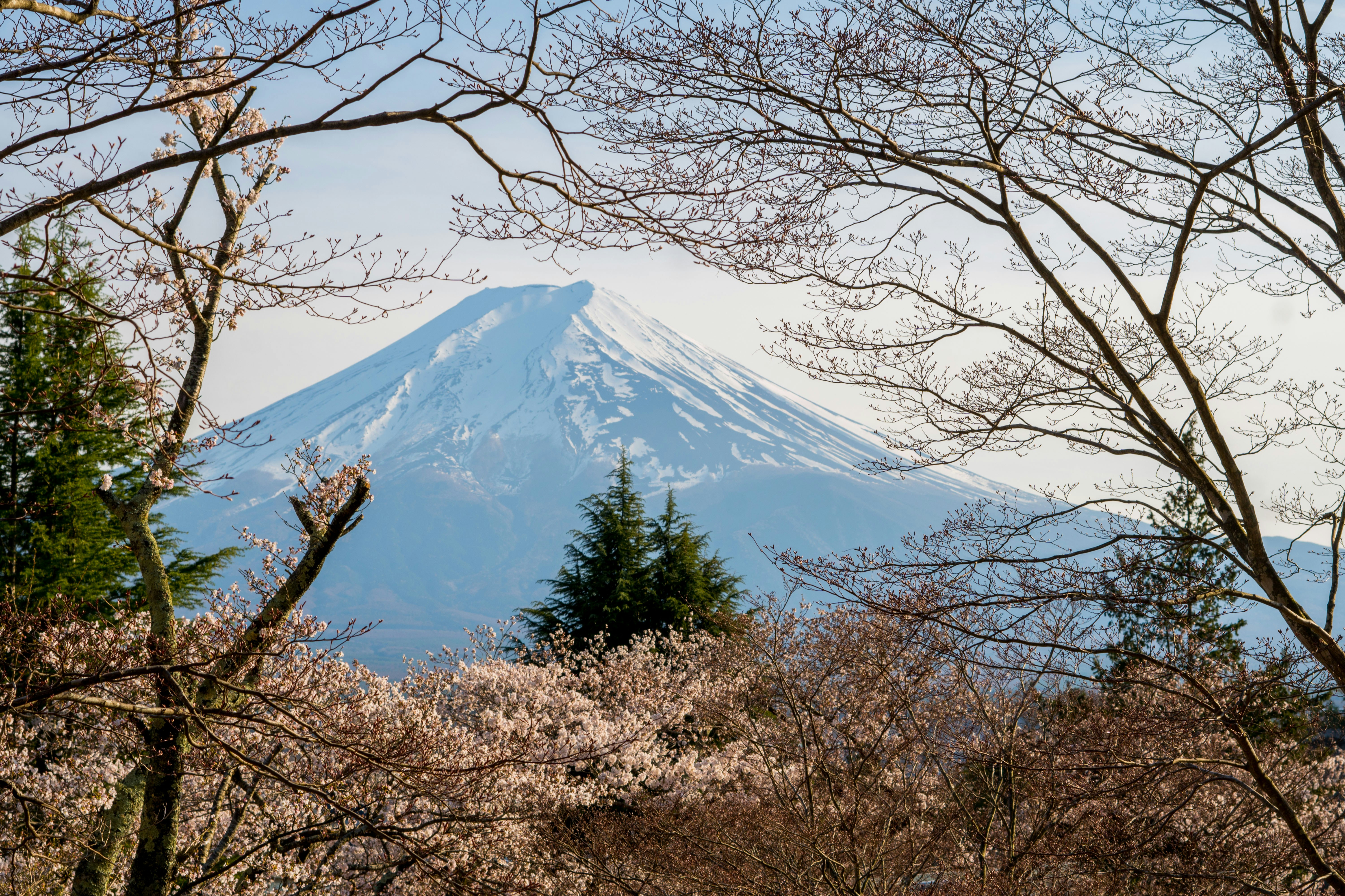 Photo by antonioaaaraujo