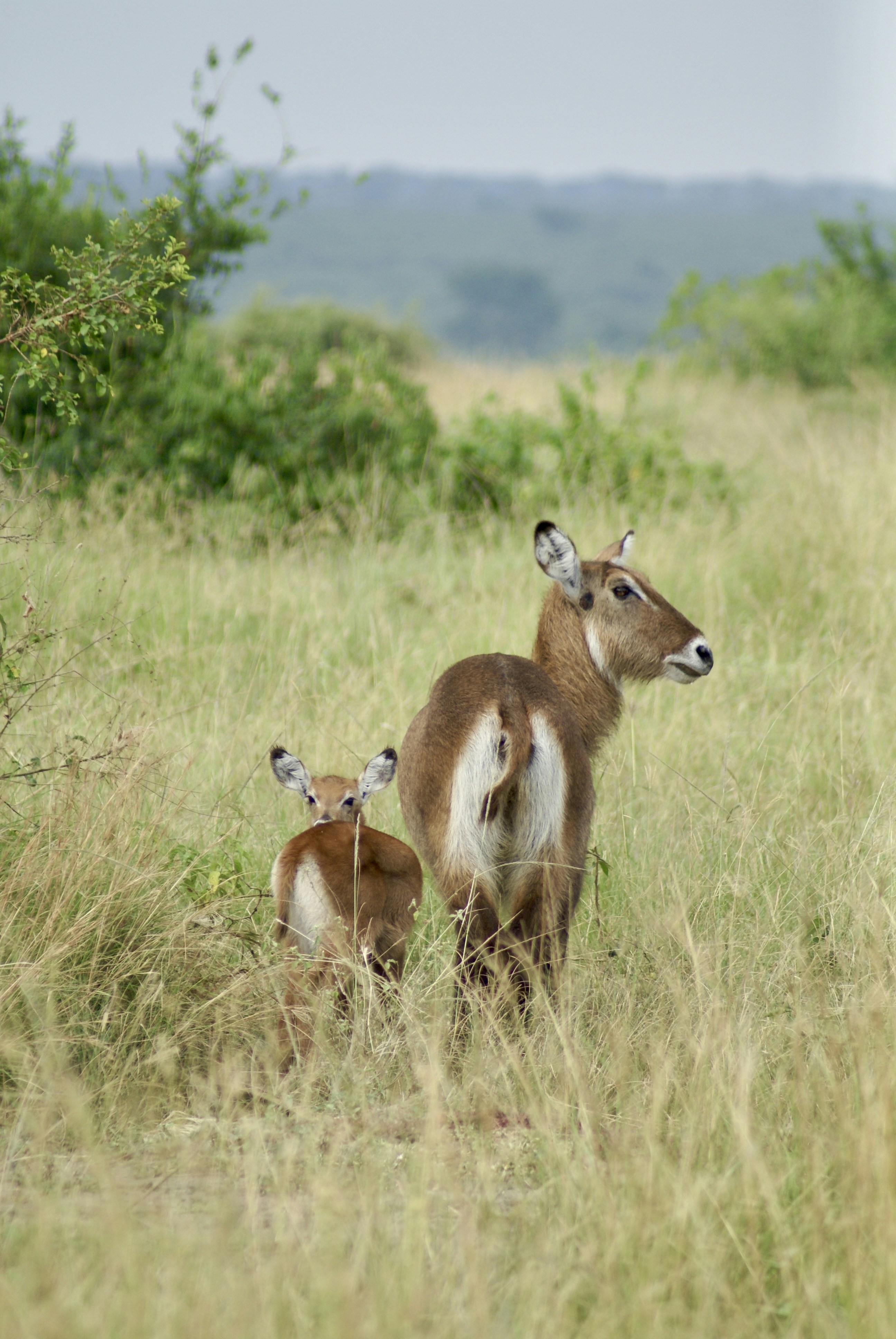 Photo by lisastockton