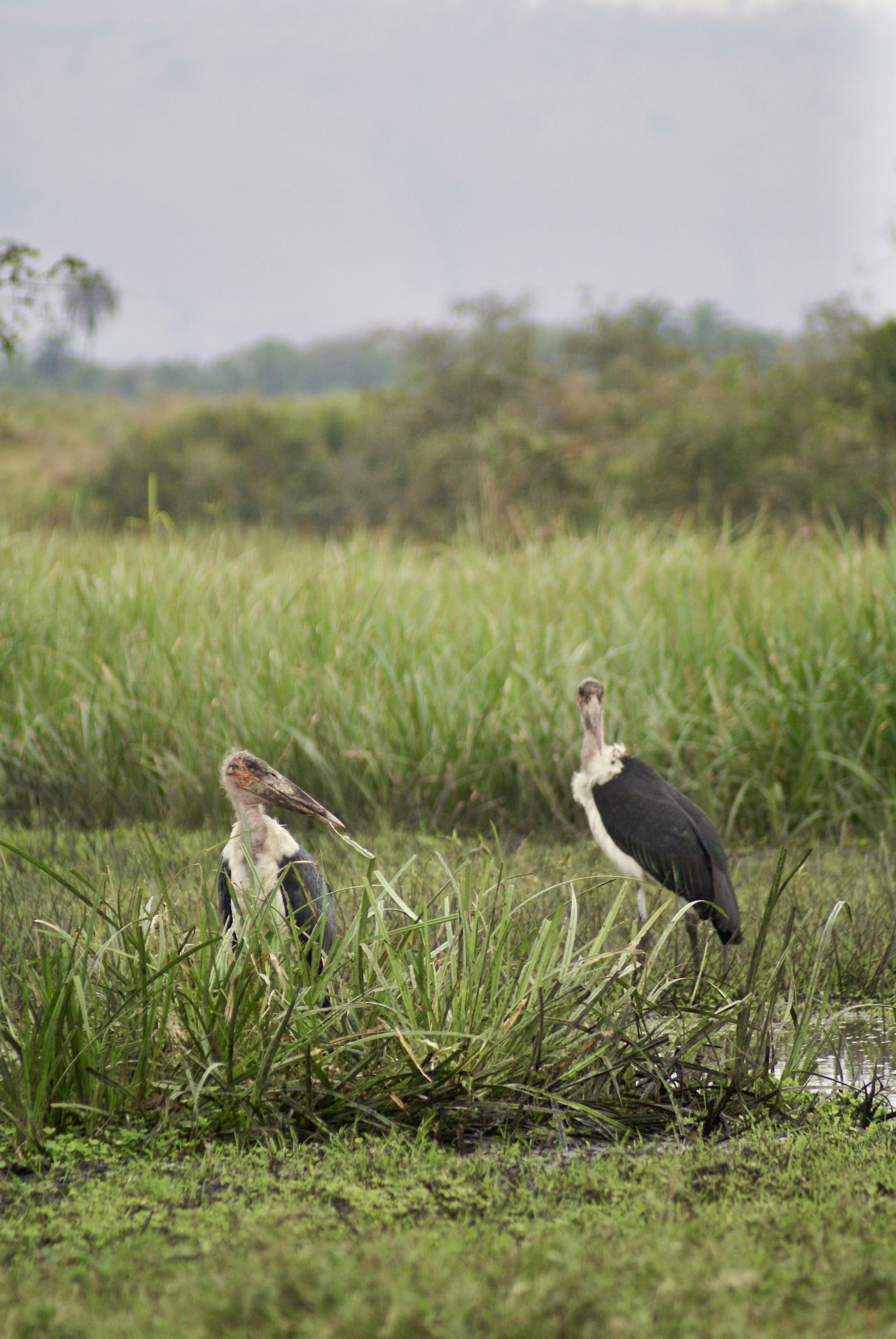 Photo by lisastockton