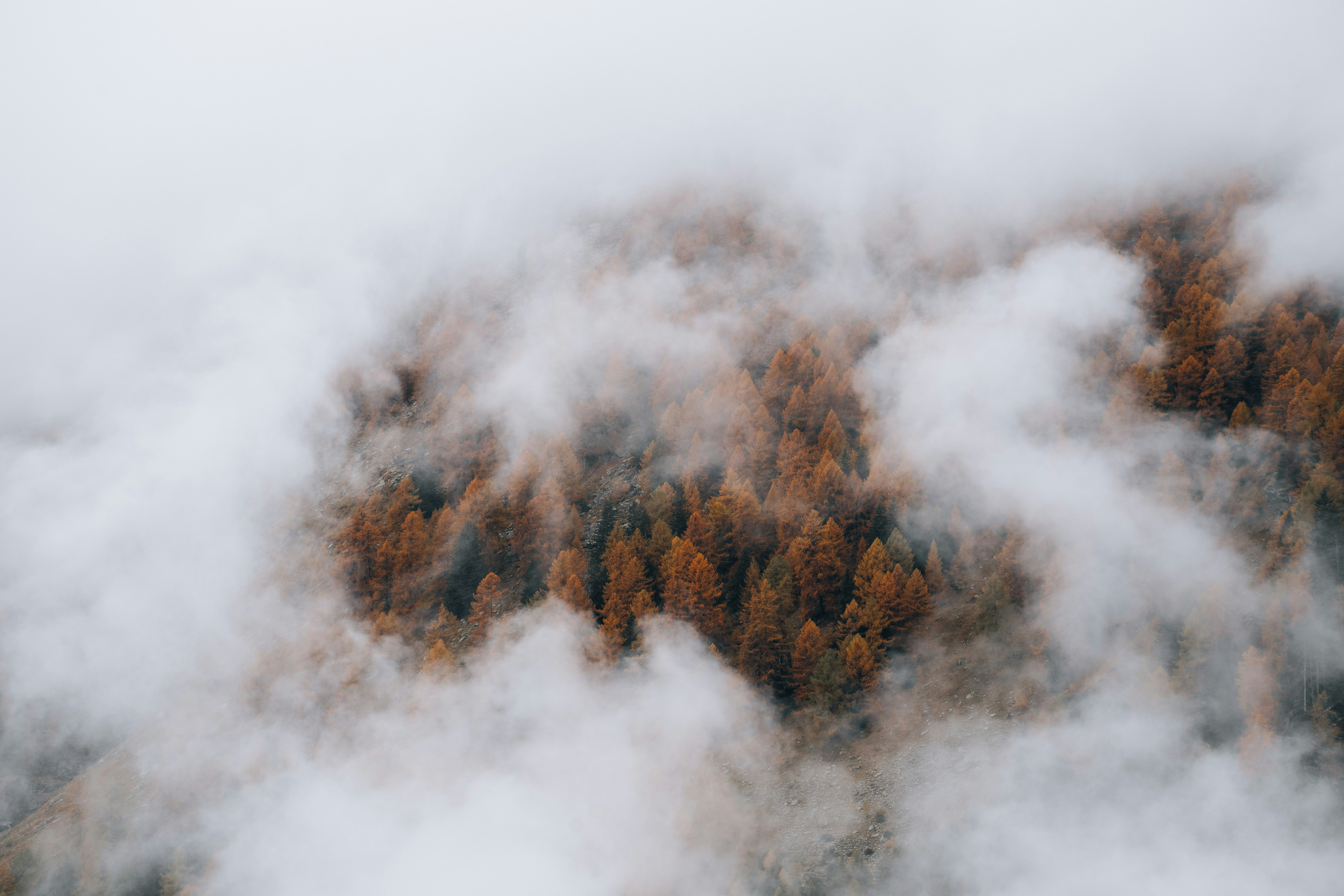 클래식기타를 연주할 때 올바른 자세는 무엇인가요? (클래식기타 연주 시 올바른 자세 완벽 가이드)