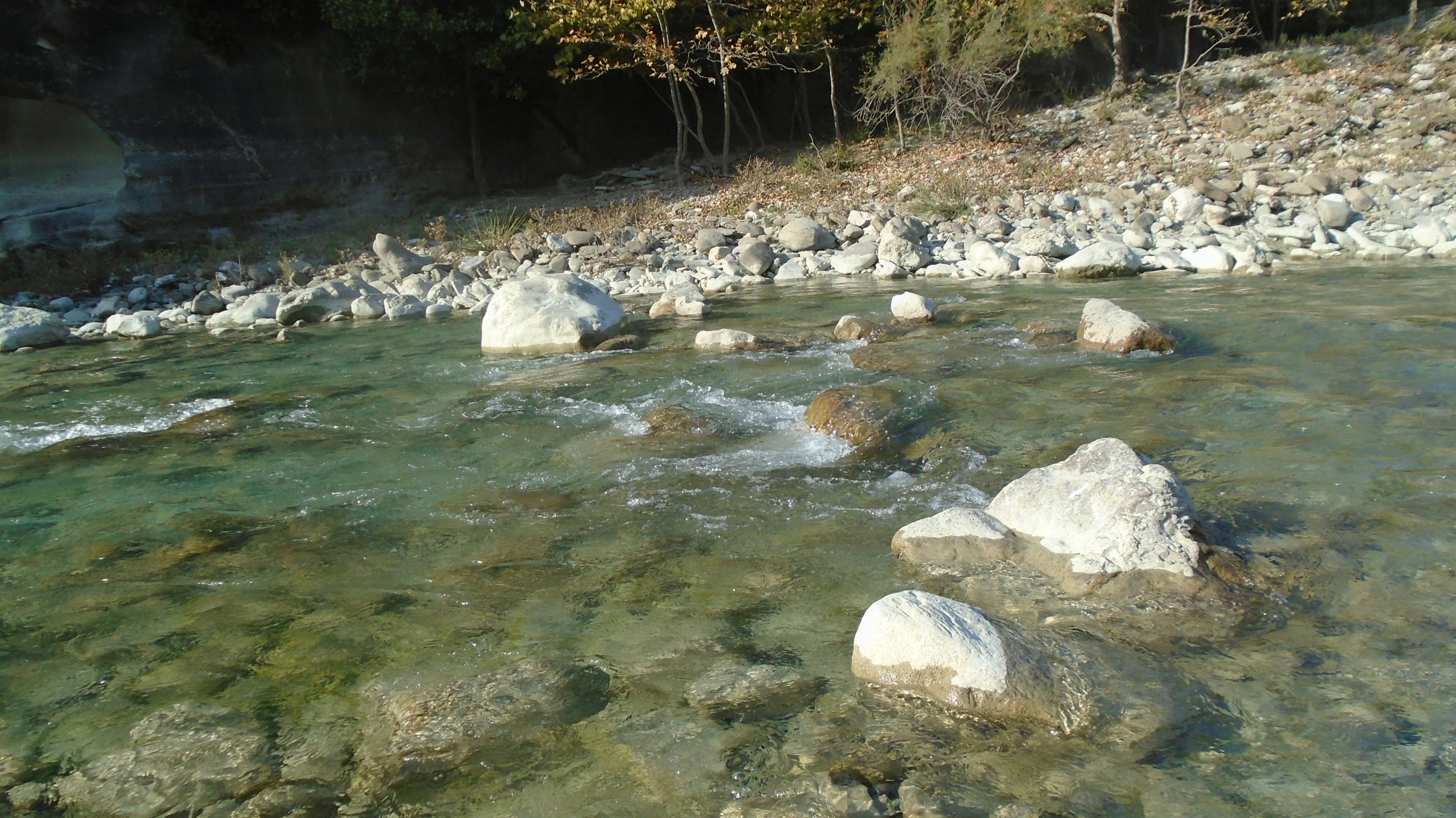 A stream of water with rocks in it