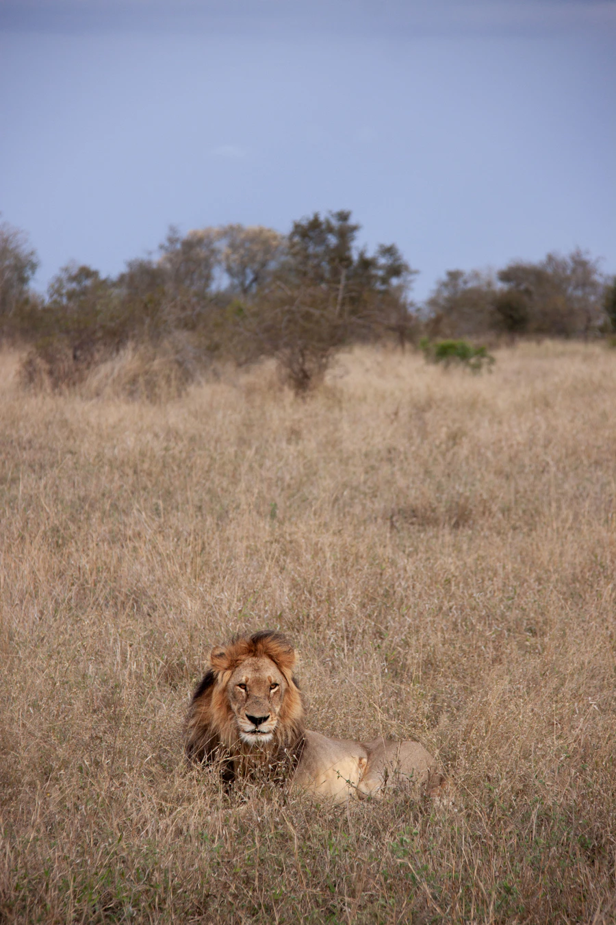 Luxury Tented Camps