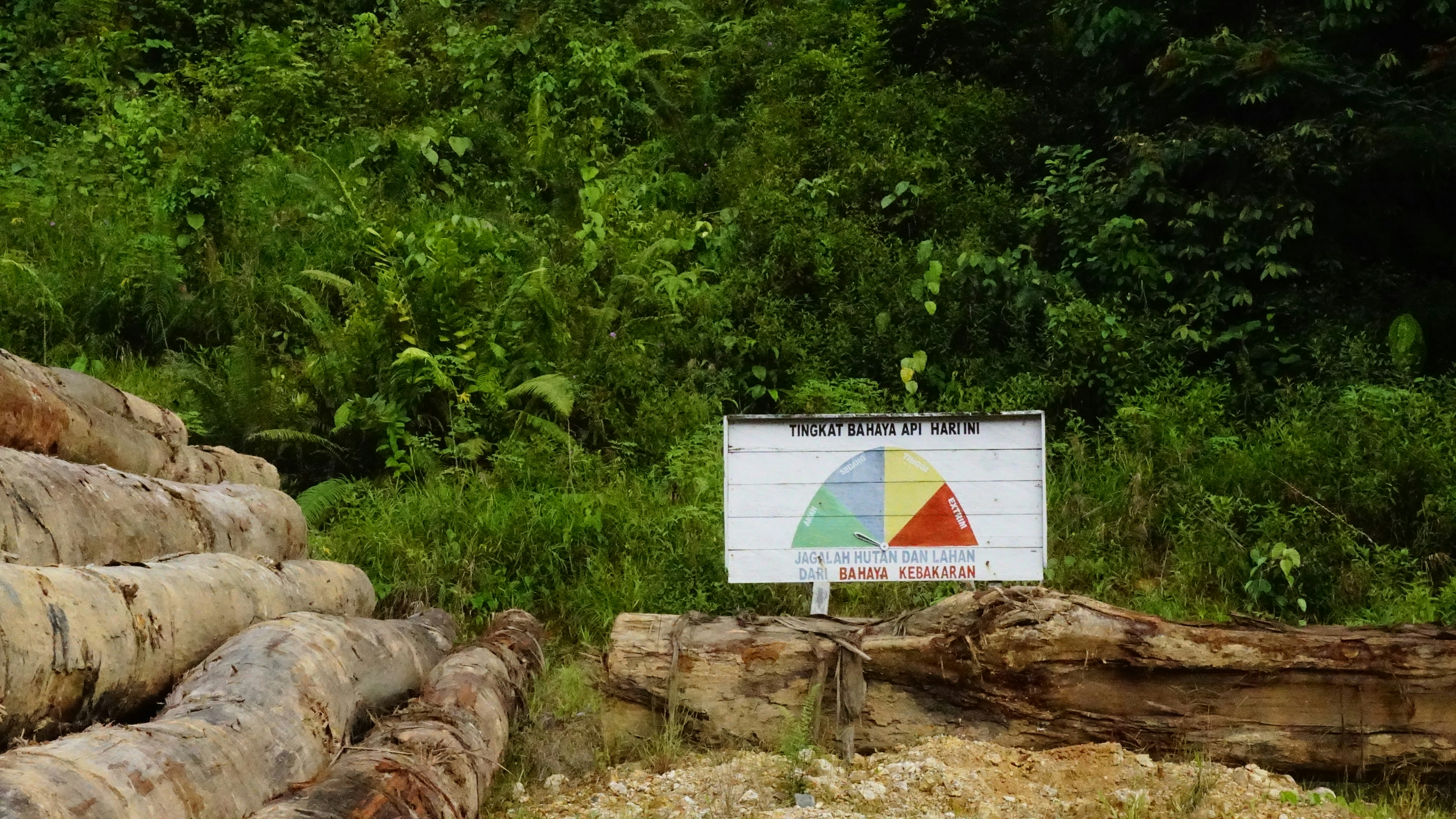 Kebakaran Hutan