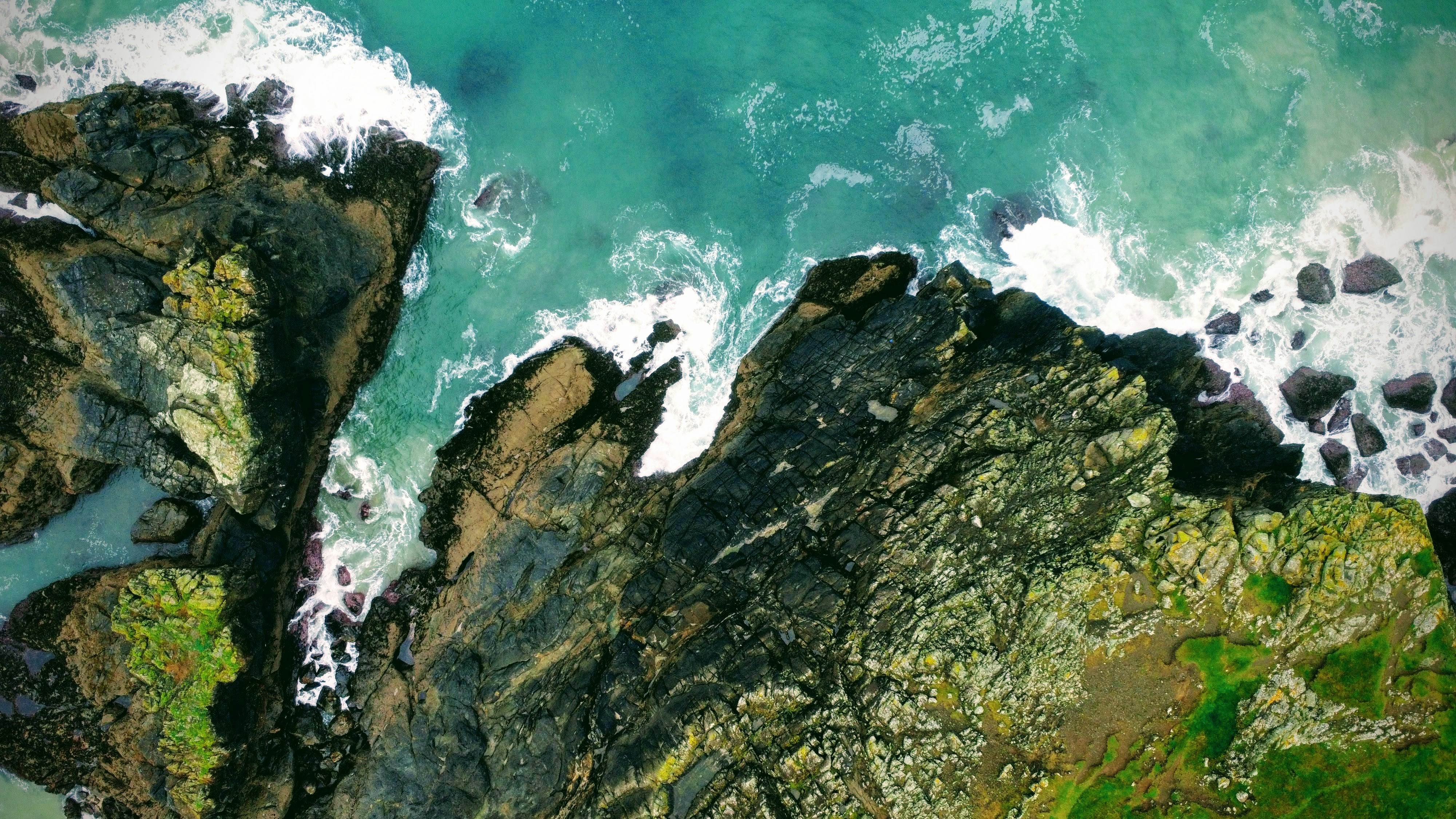 Photo by canopyfalls