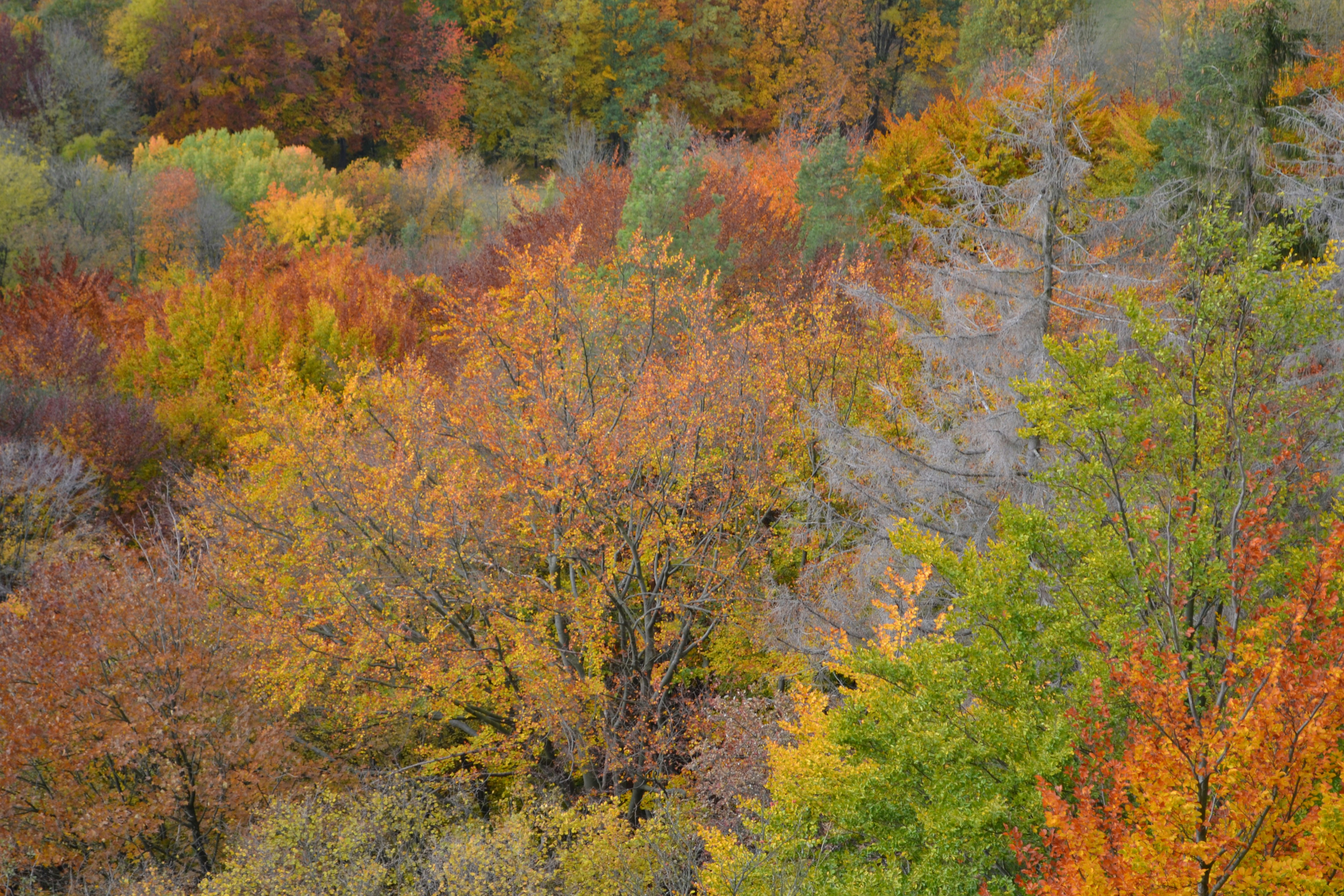 Photo by ulrike_bernhard_75