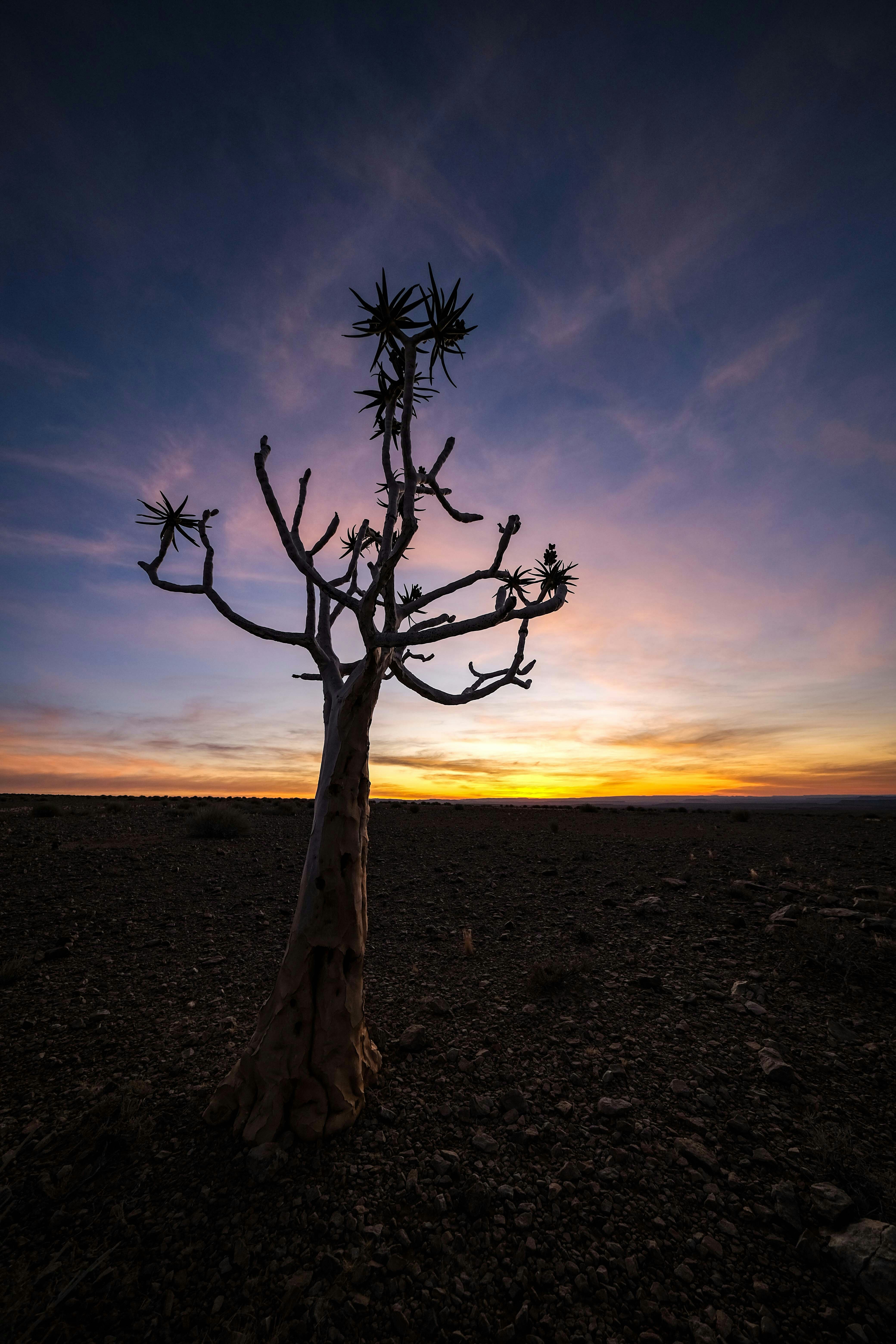 Photo by francesco_ungaro