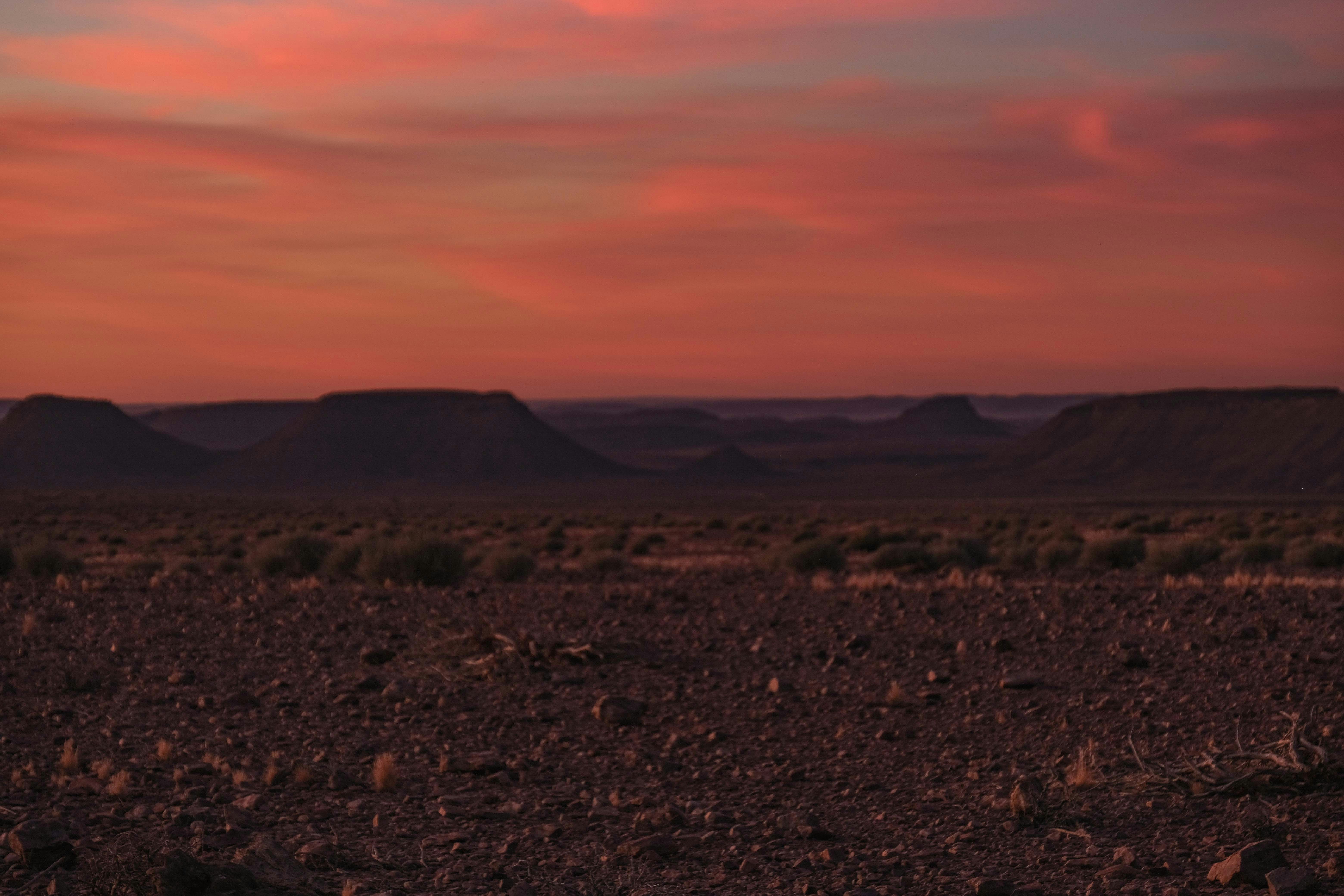 Photo by francesco_ungaro