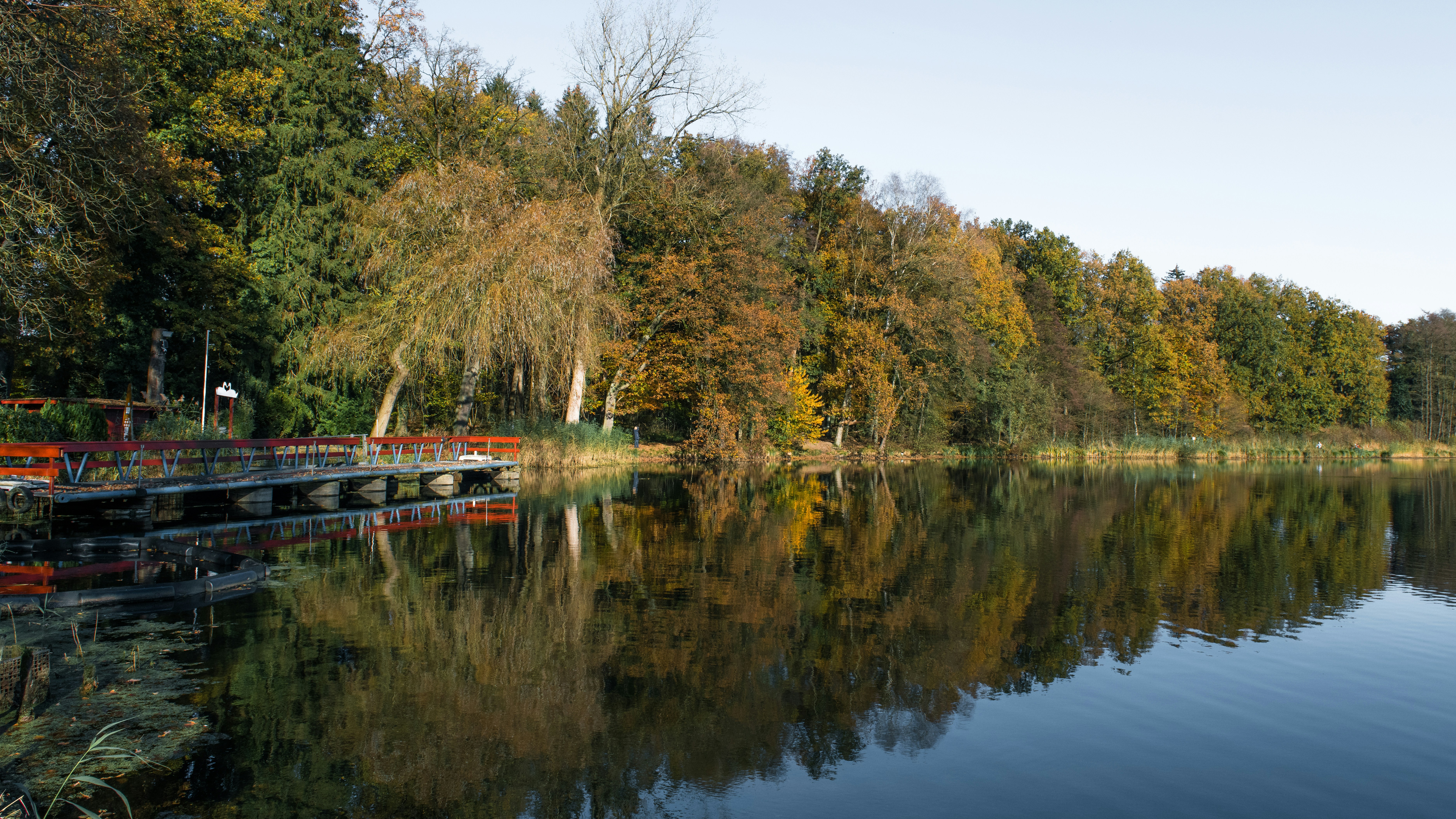 Photo by hamburgmeinefreundin