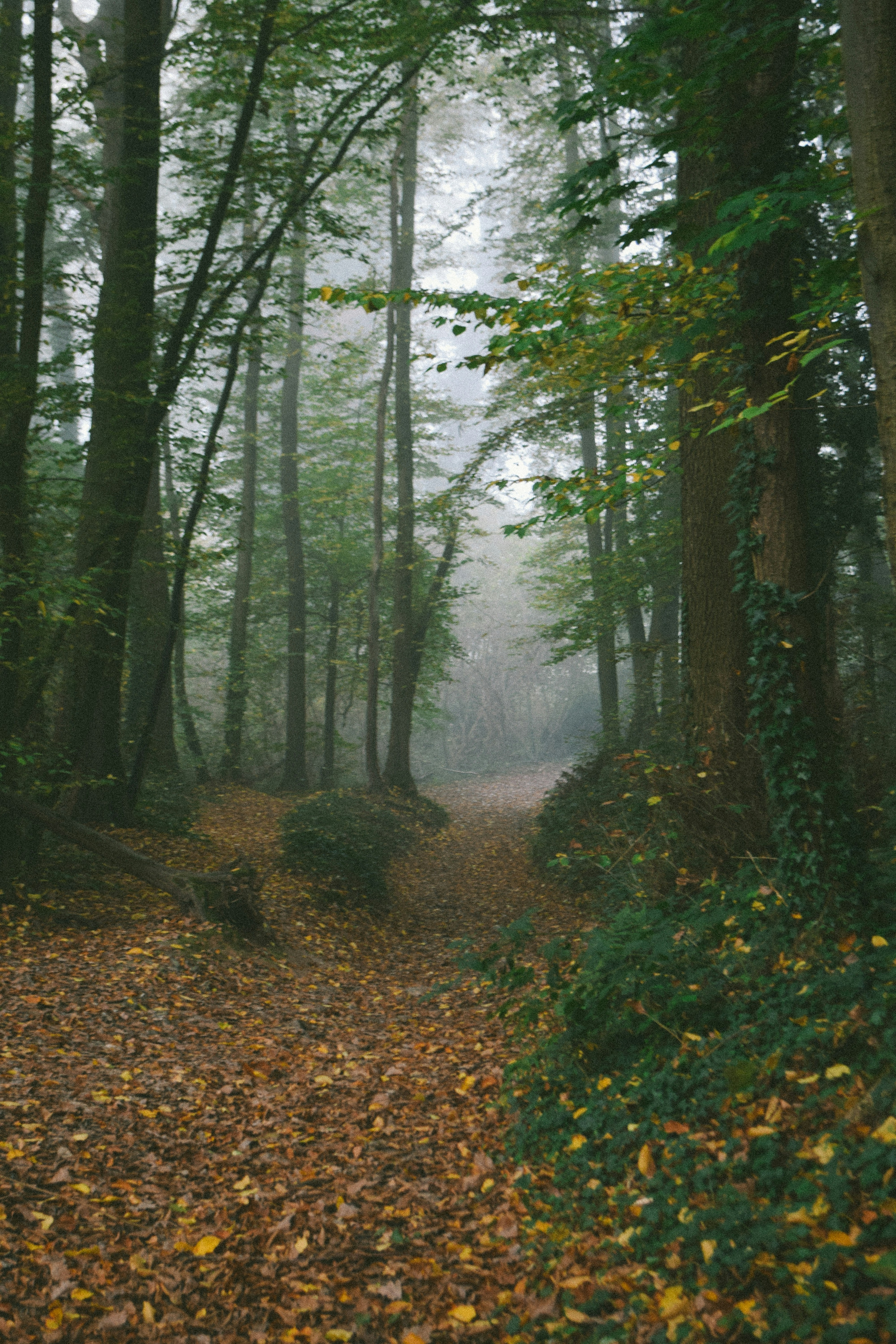 Photo by wanderlandjournal