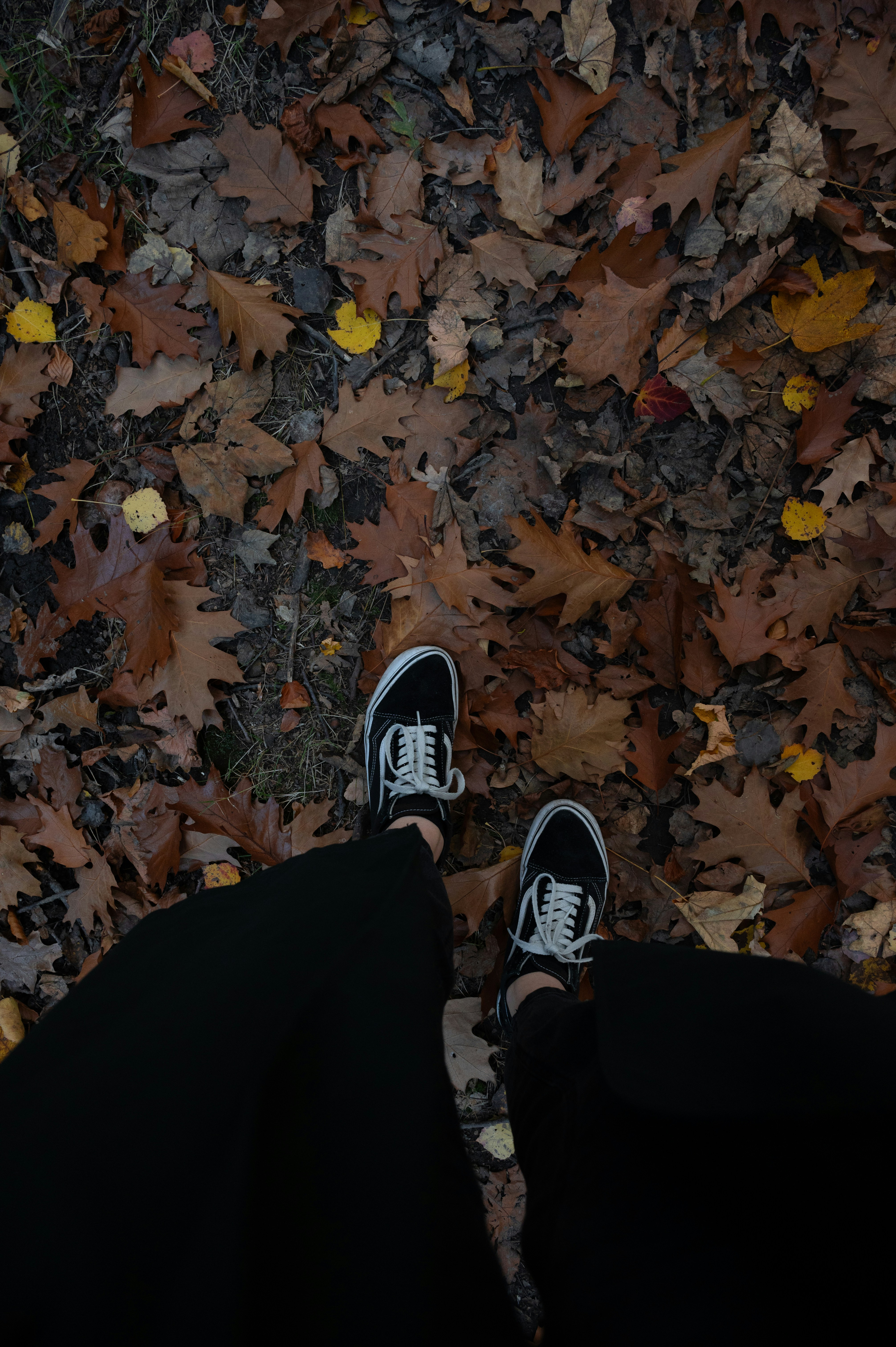 Photo by alexandra_p_d