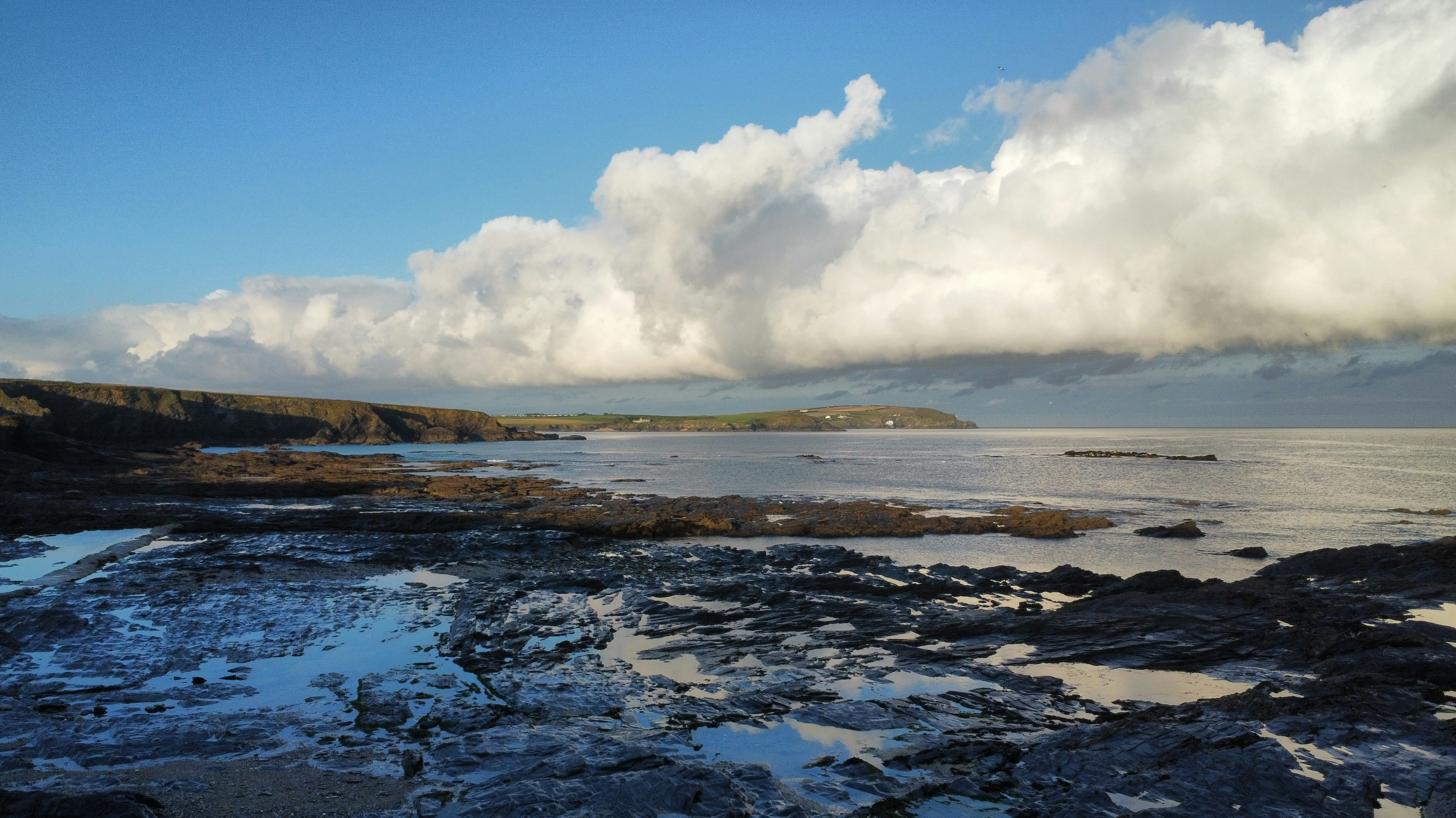 Photo by canopyfalls