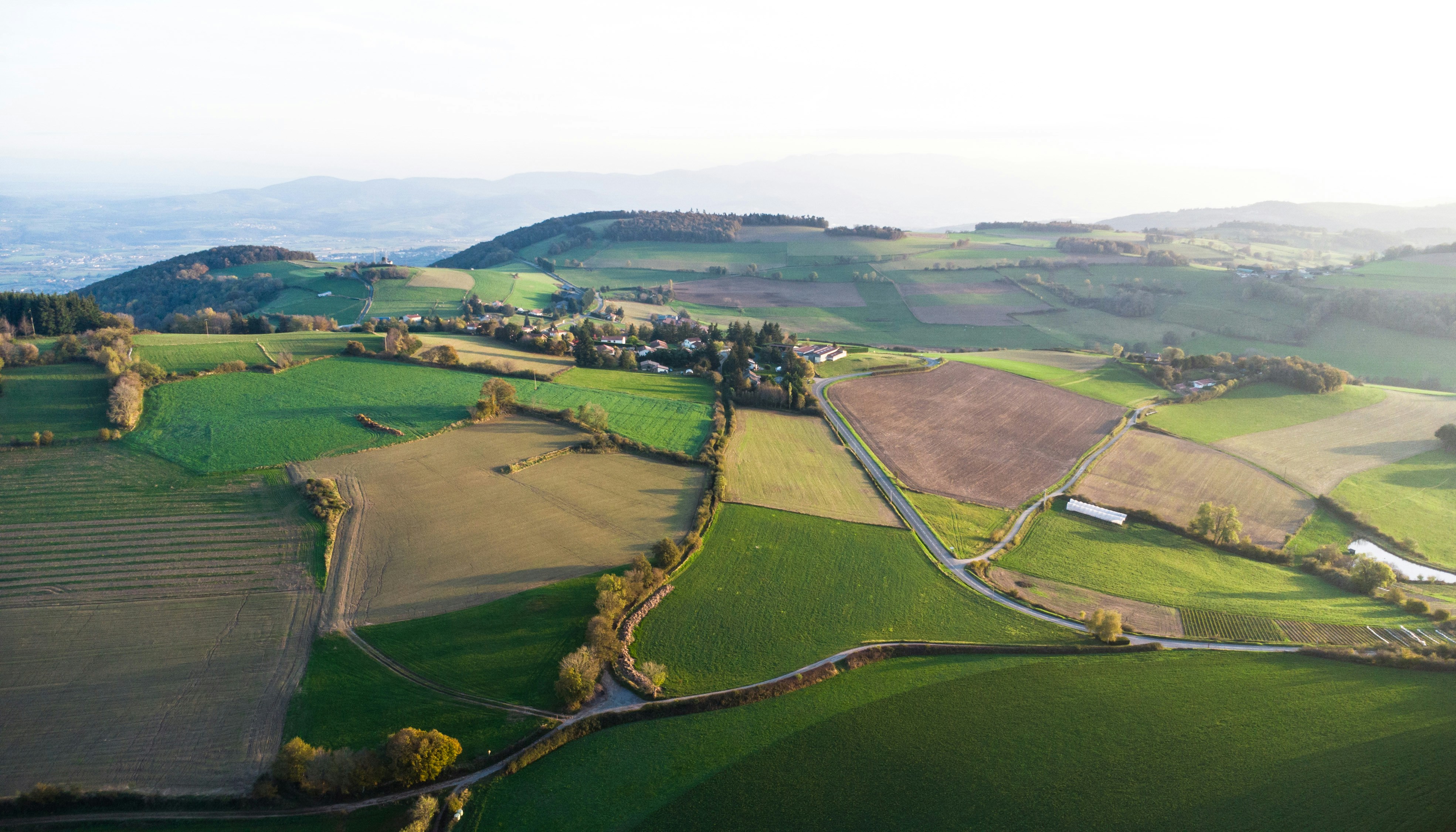 Photo by lucasgallone