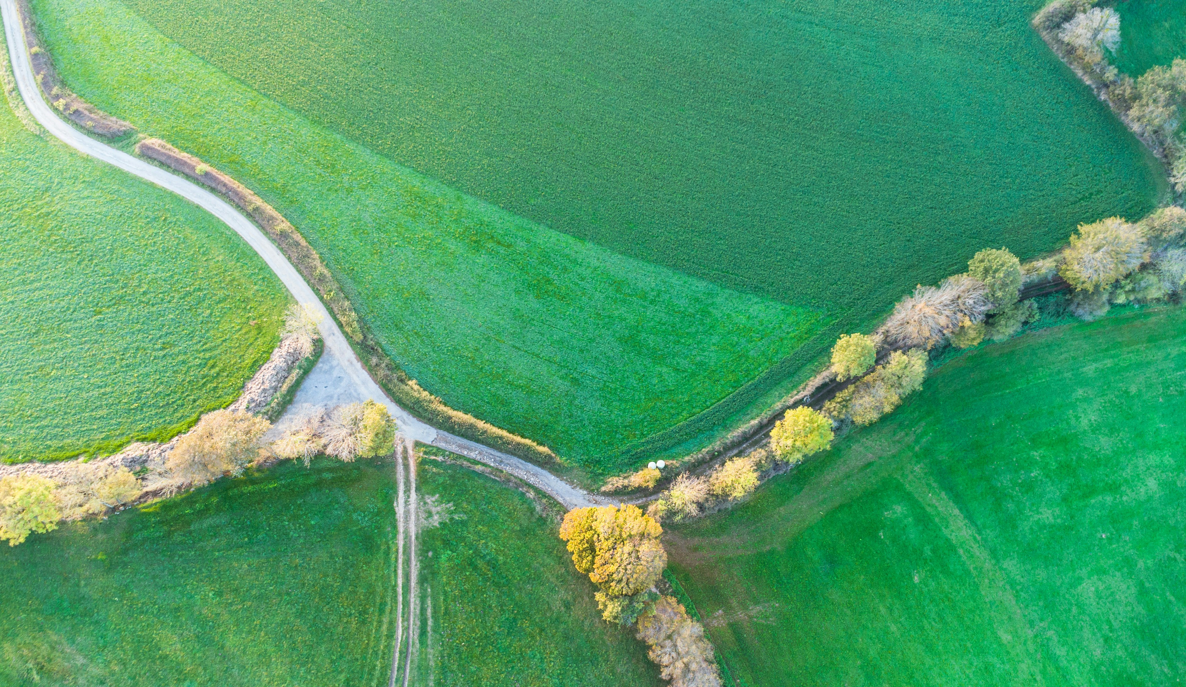 Photo by lucasgallone