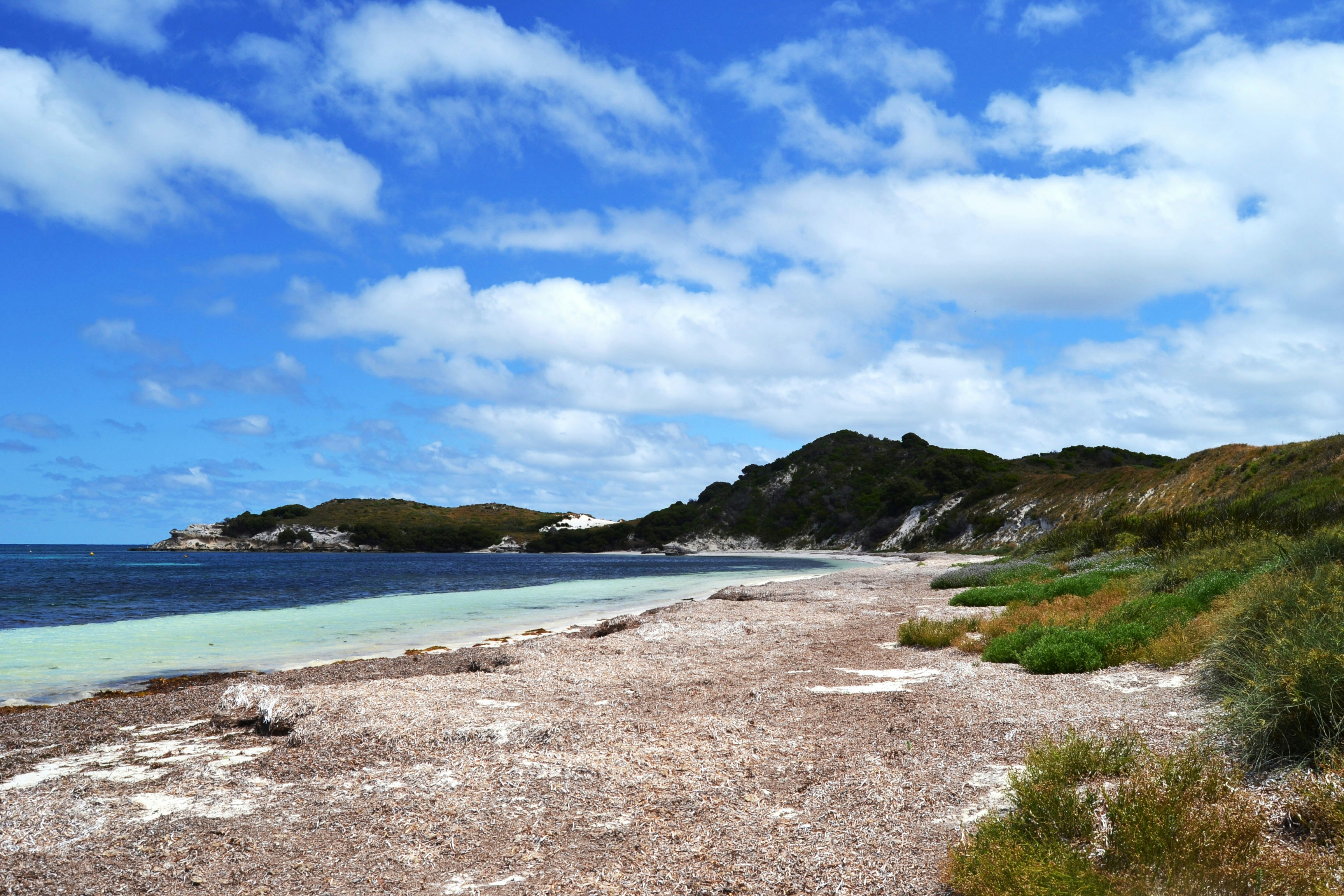 Photo by francesca_riverso