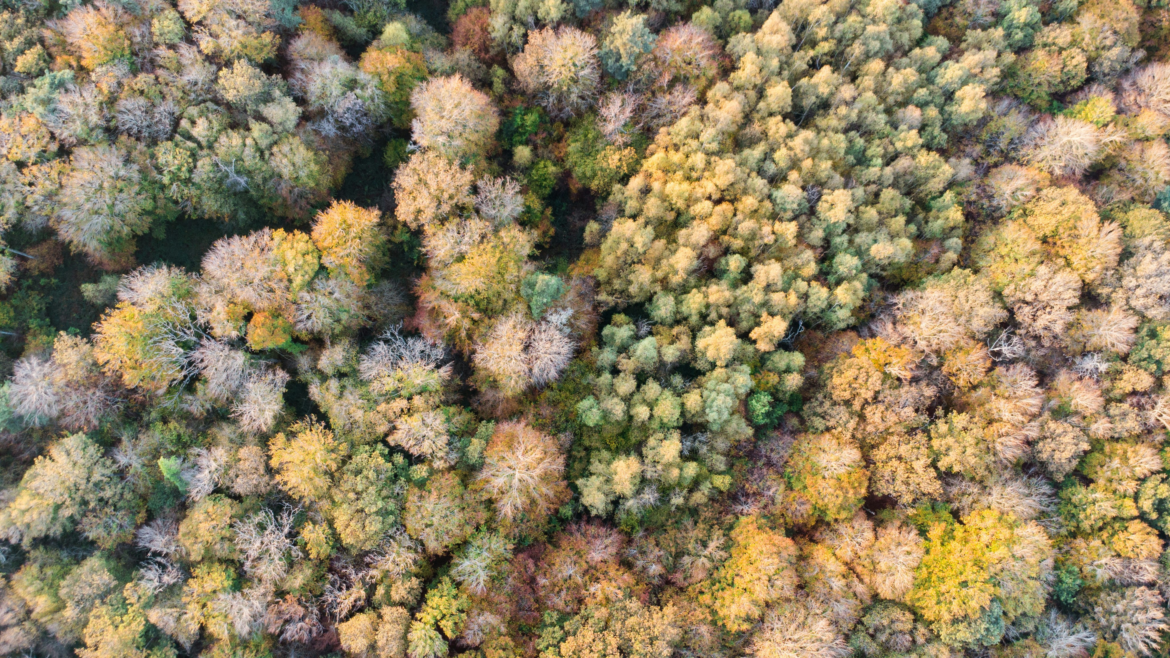 Photo by lucasgallone