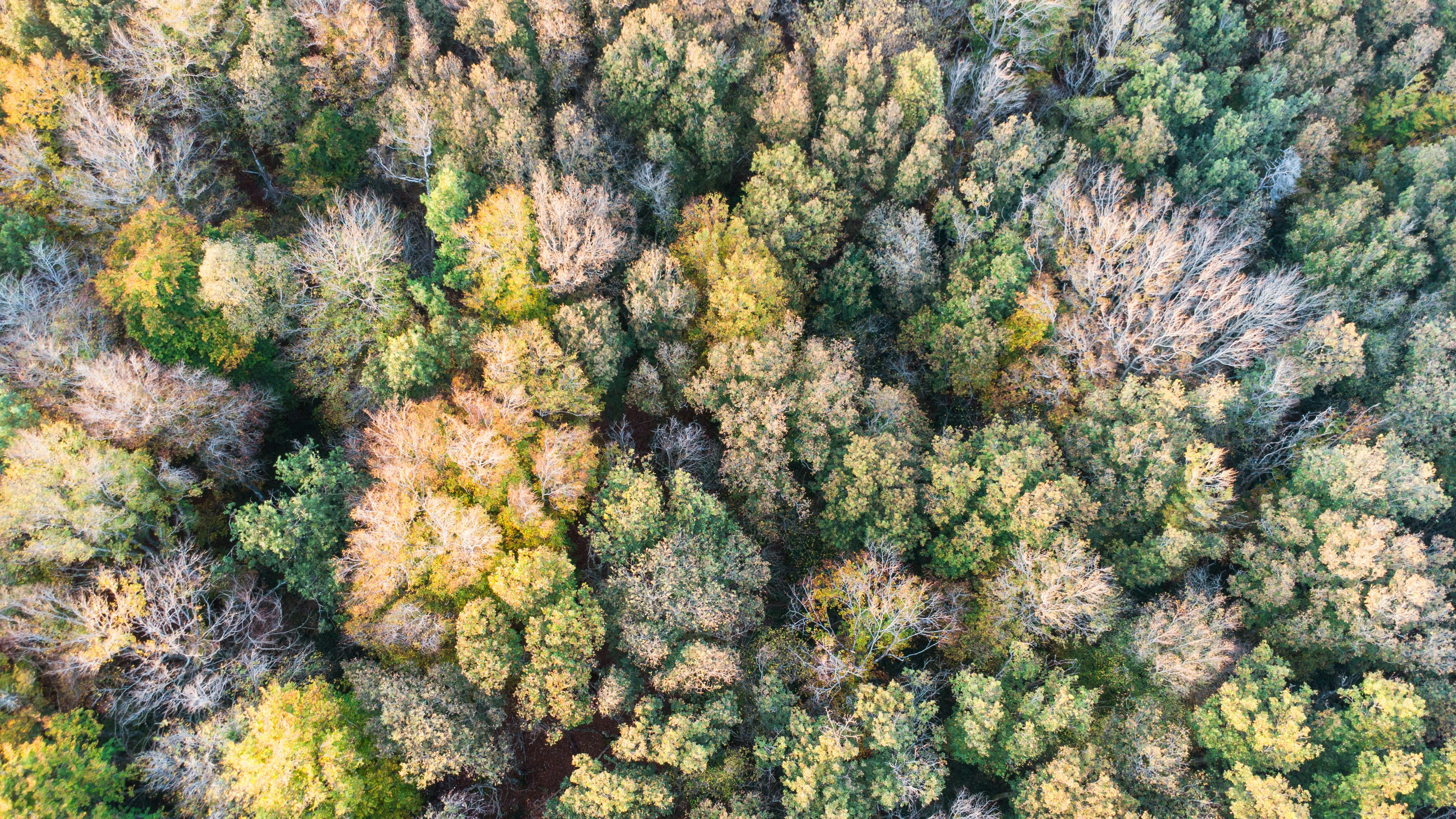 Photo by lucasgallone