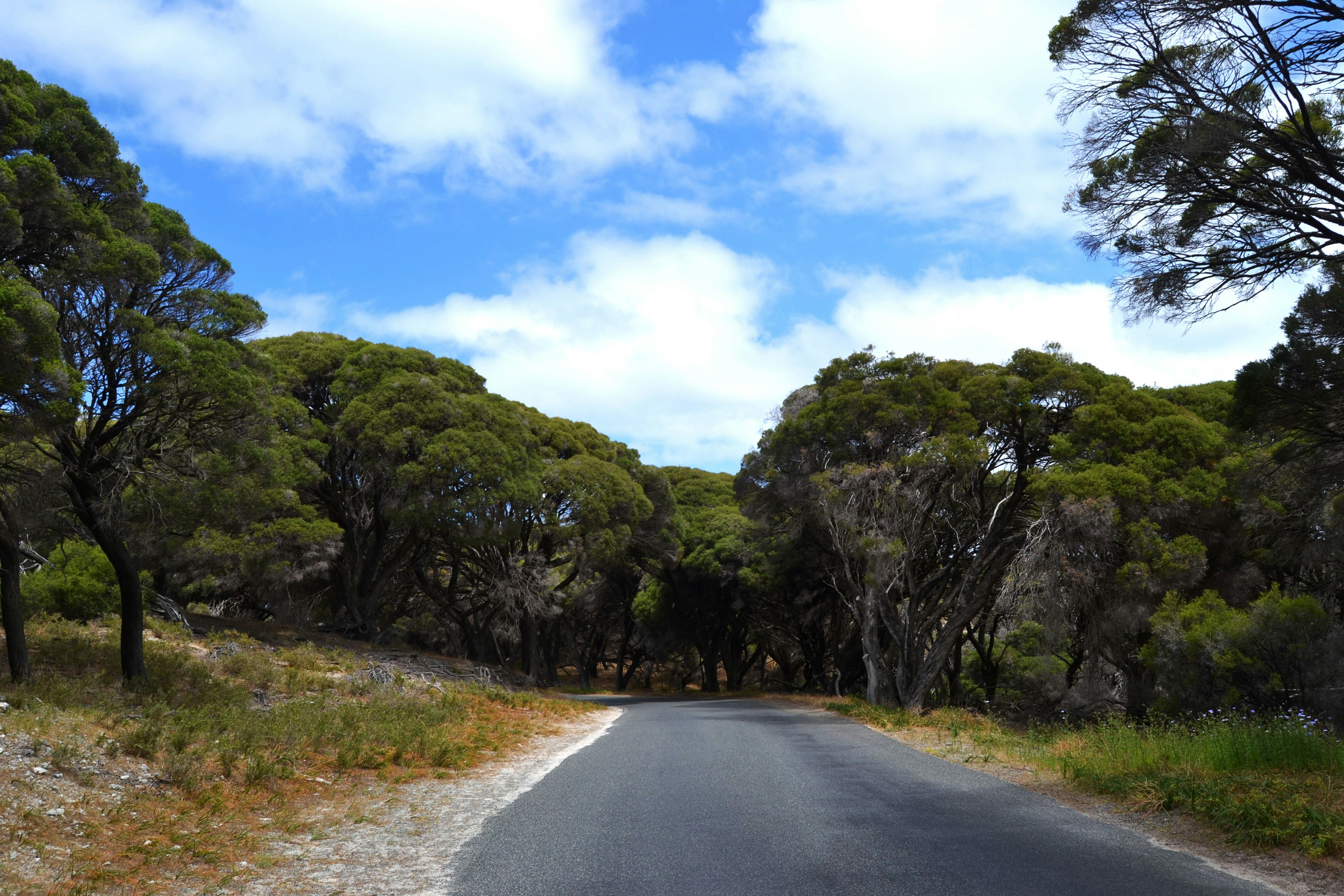 Photo by francesca_riverso