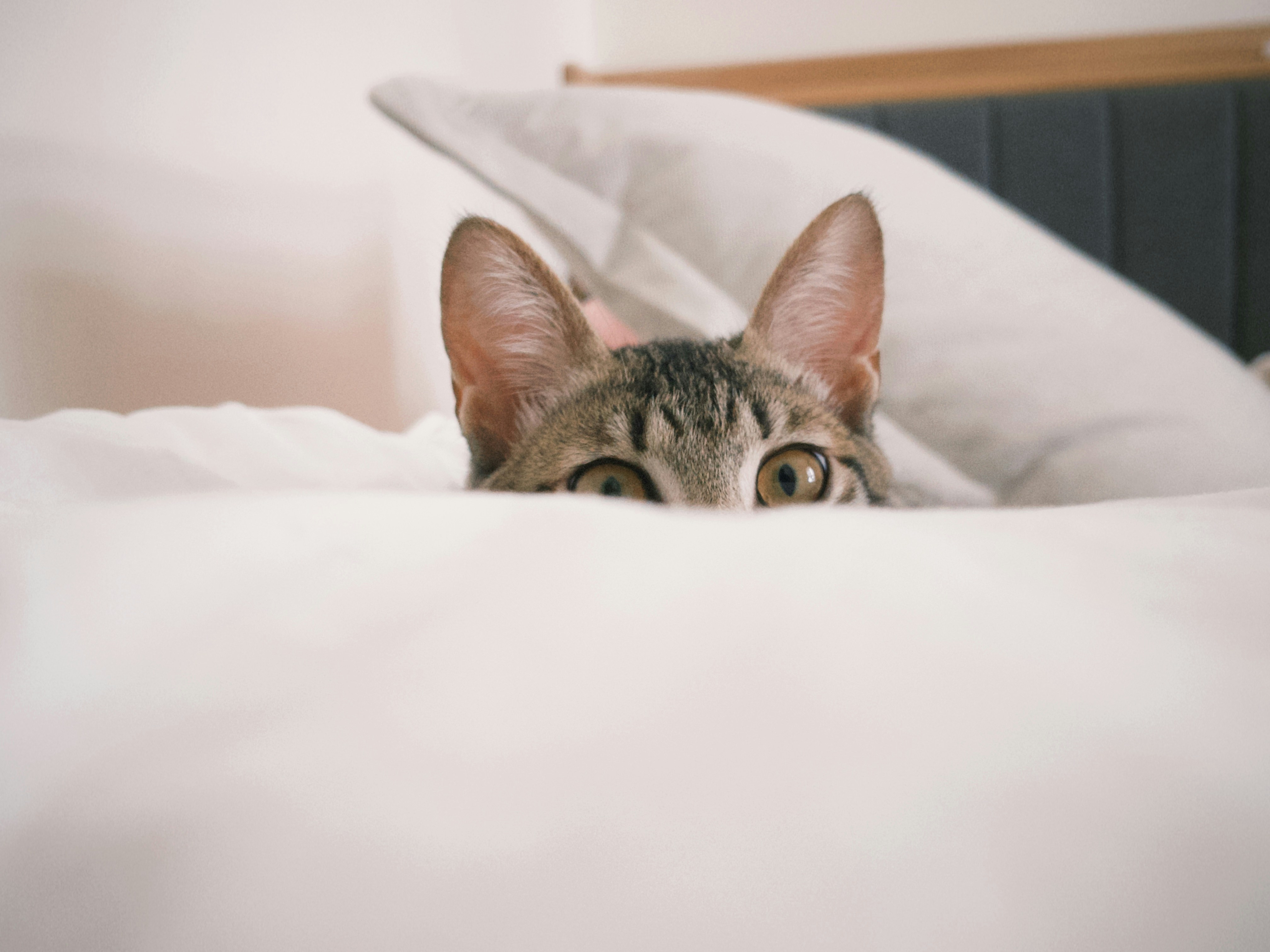 Photo by super_tseng_2k