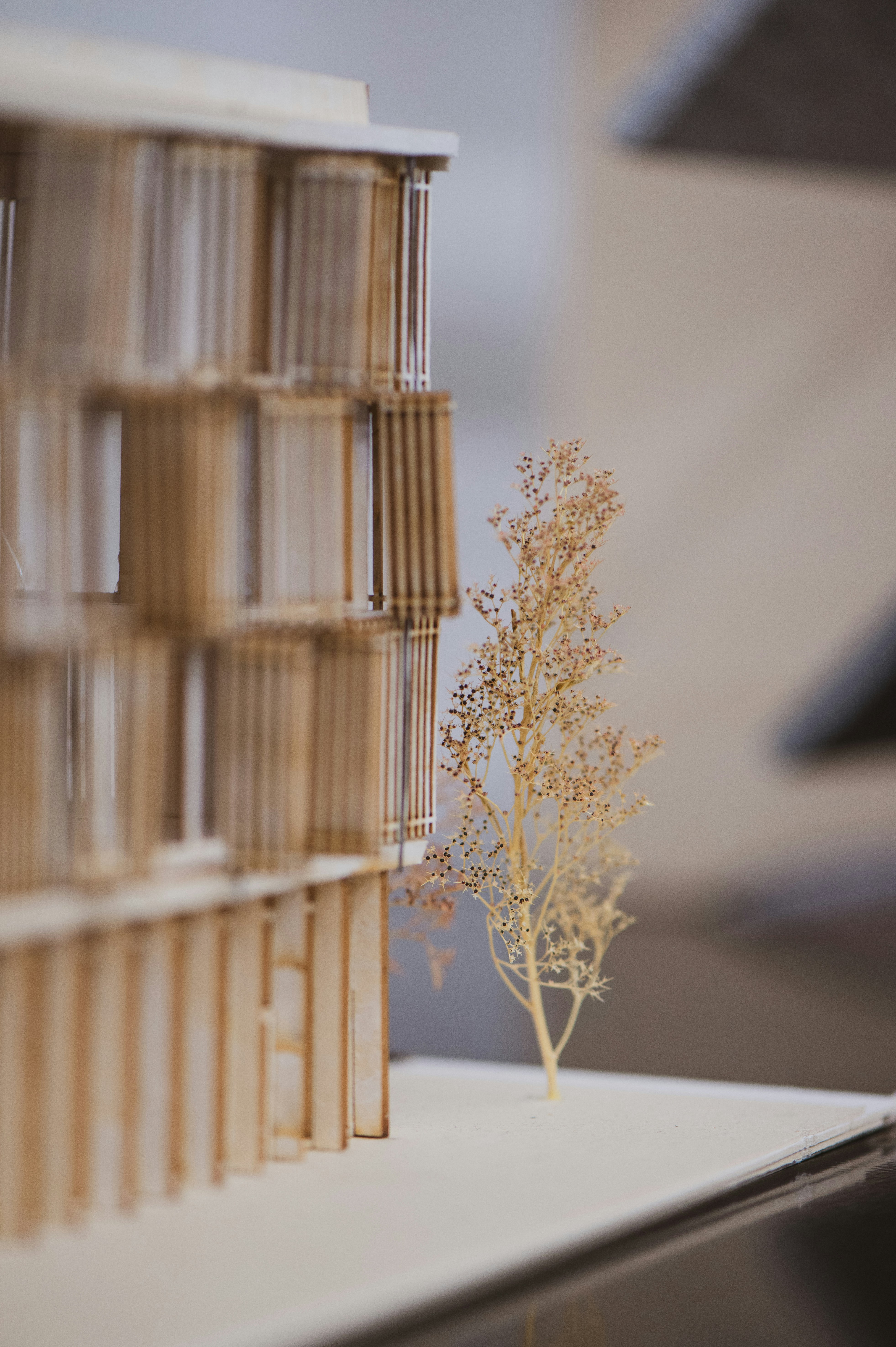 A model of a building with a tree in front of it