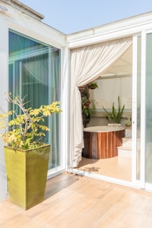 A large potted plant sitting on top of a wooden floor