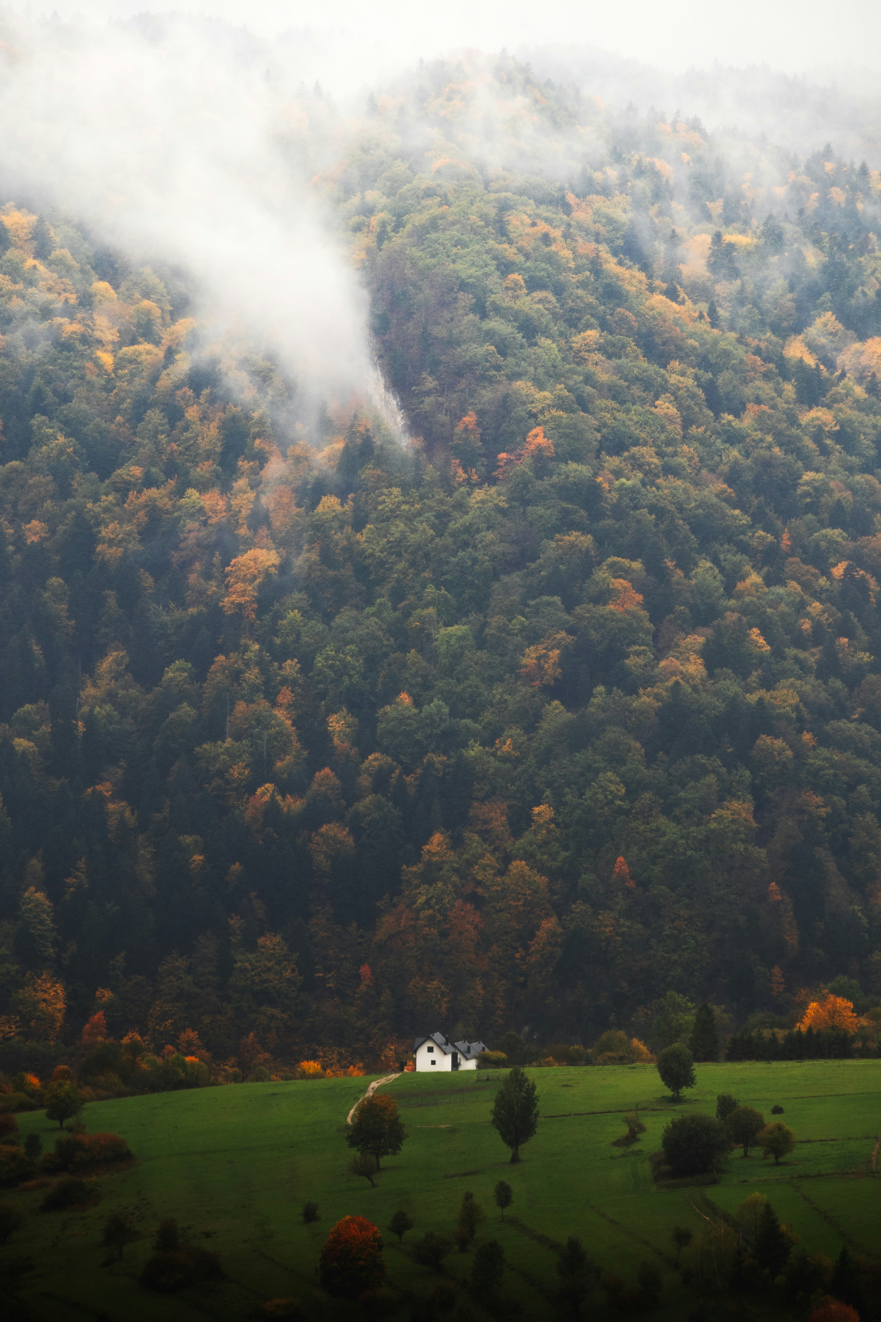 Photo by patrycja_chociej