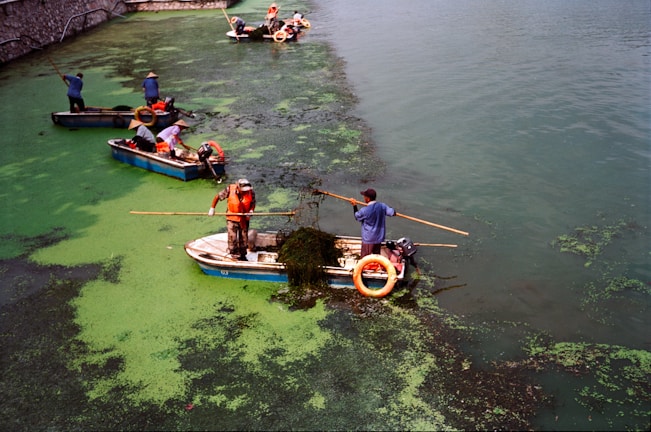 A group of people on small boats in a body of water