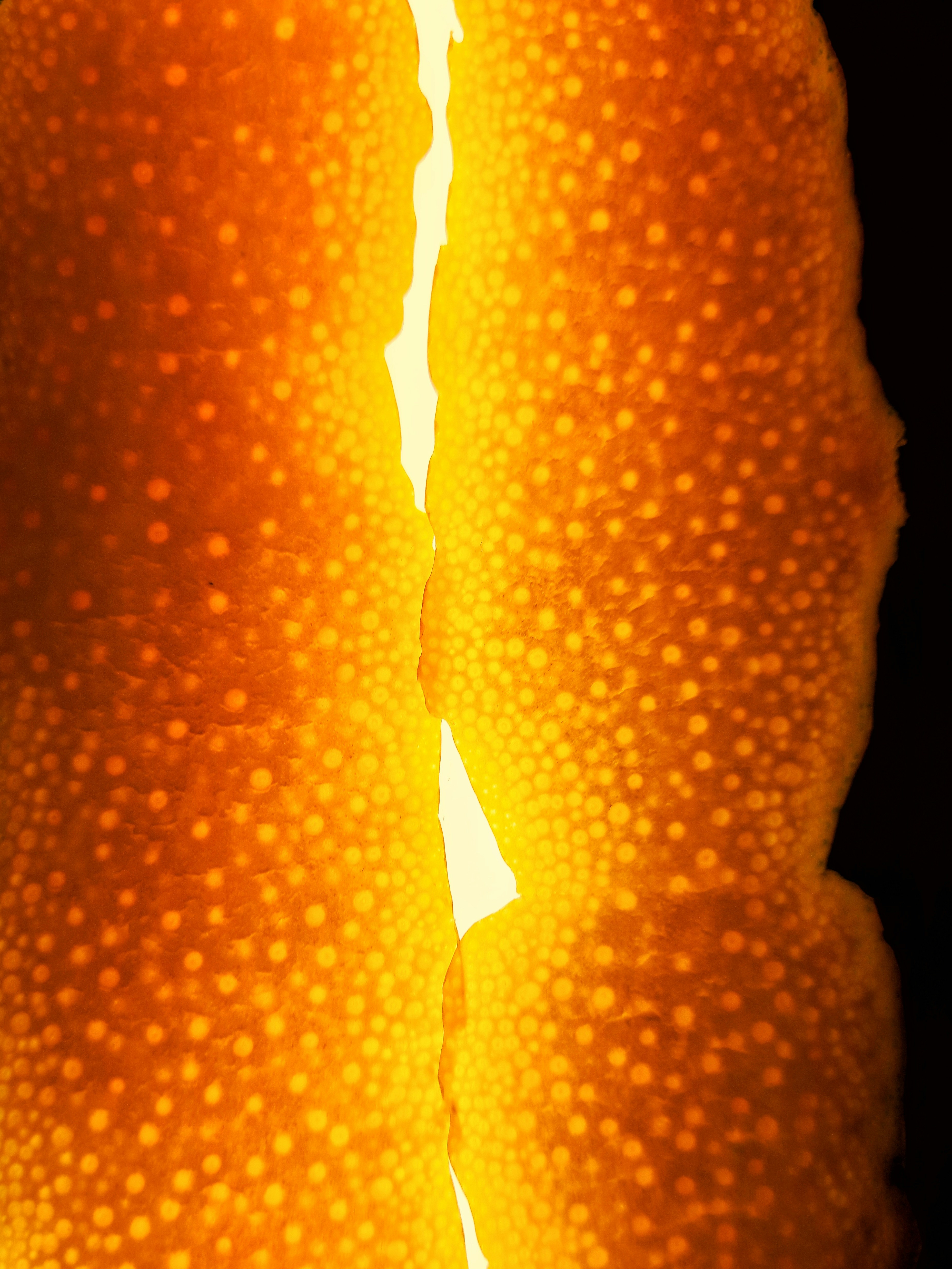 A close up of an orange with a black background