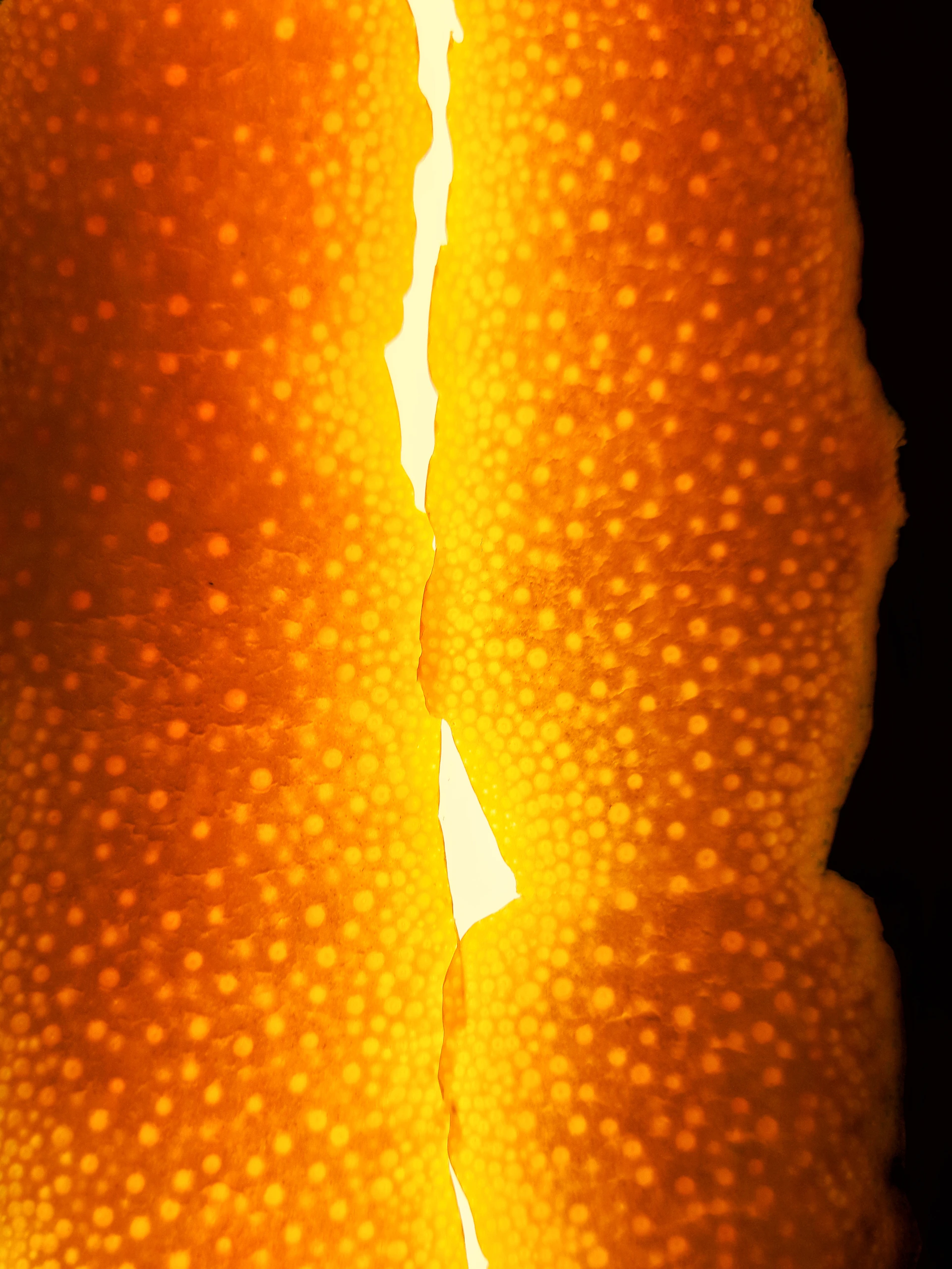 A close up of an orange with a black background