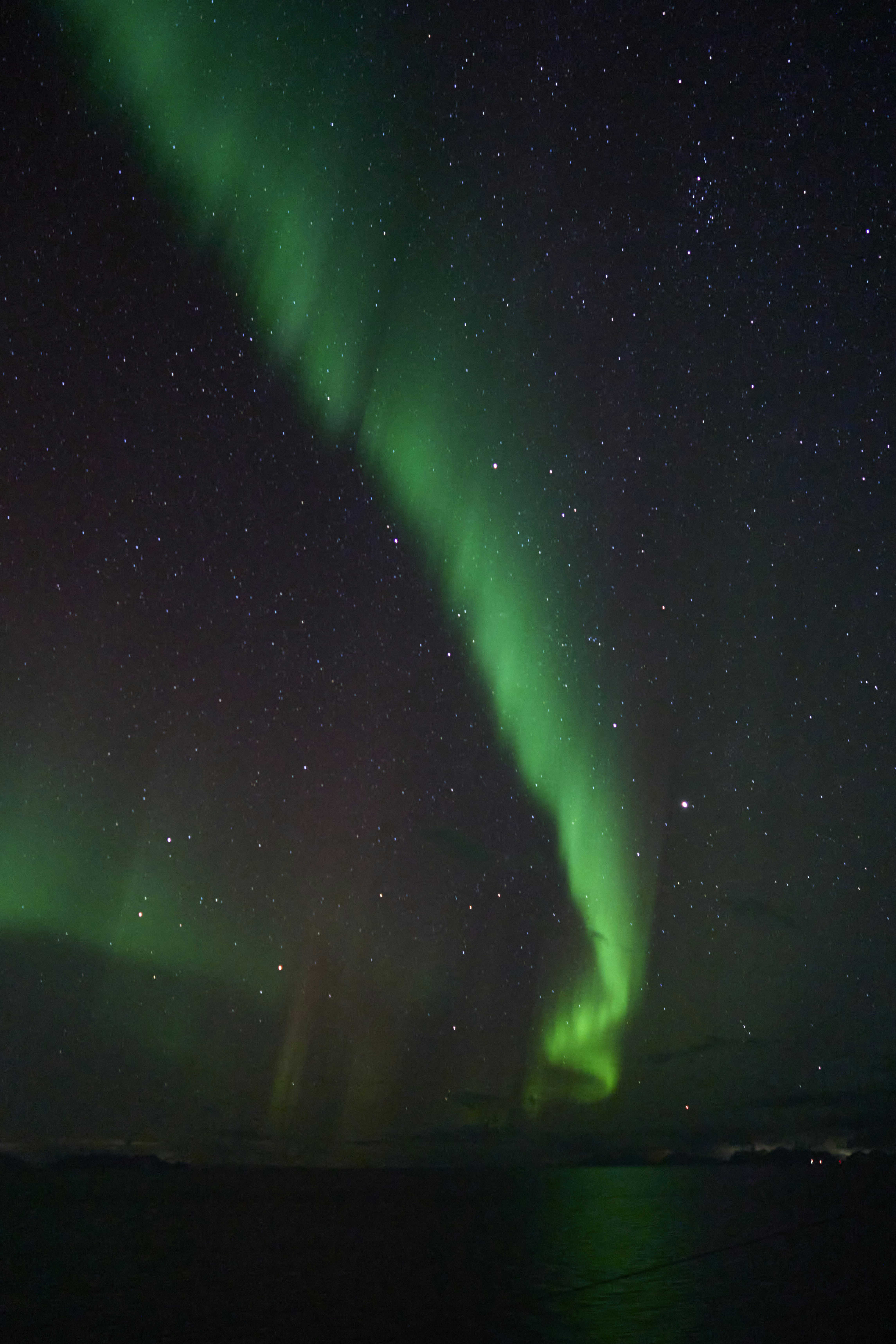 Photo by wolfgang_hasselmann