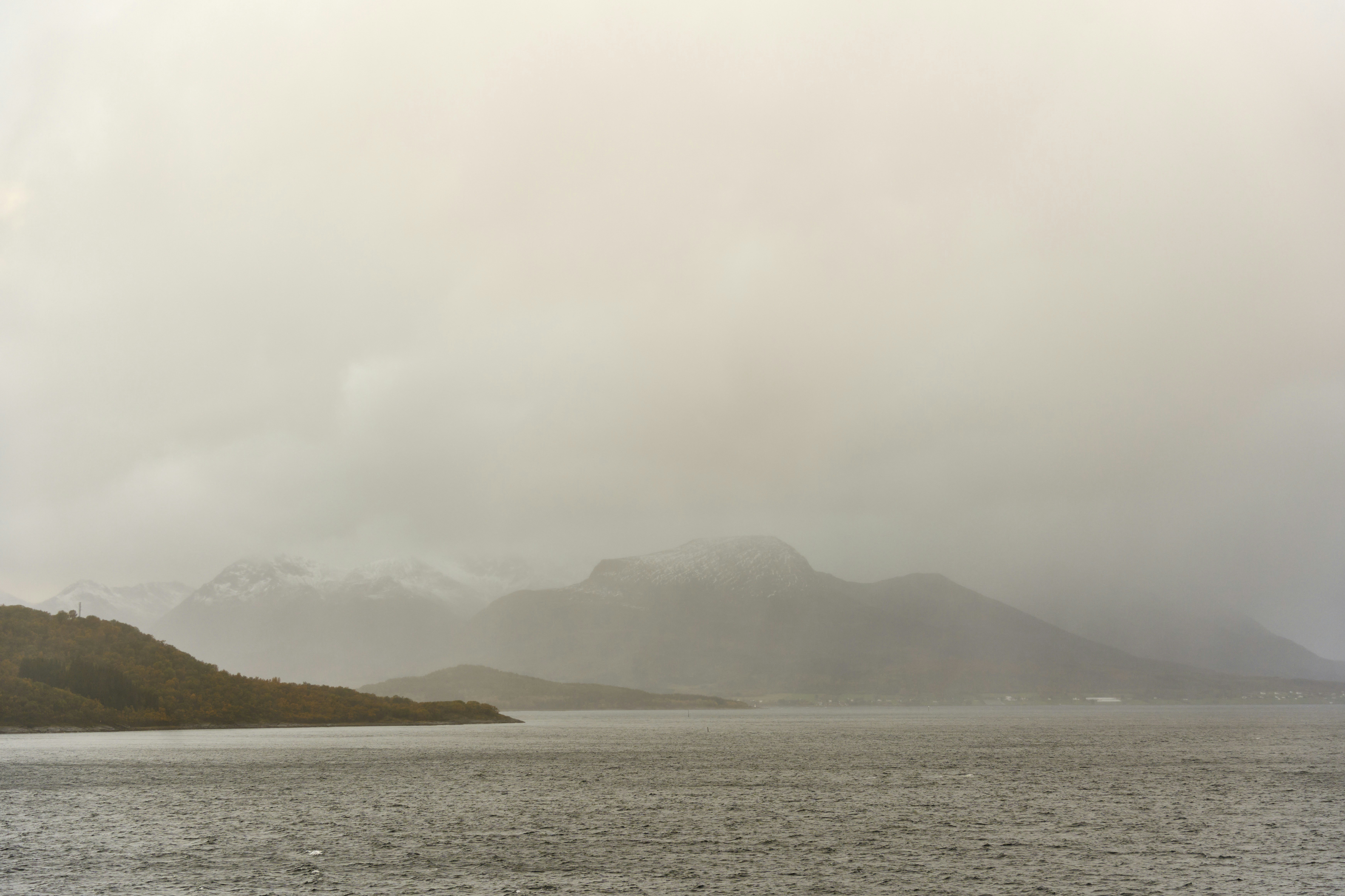 Photo by wolfgang_hasselmann