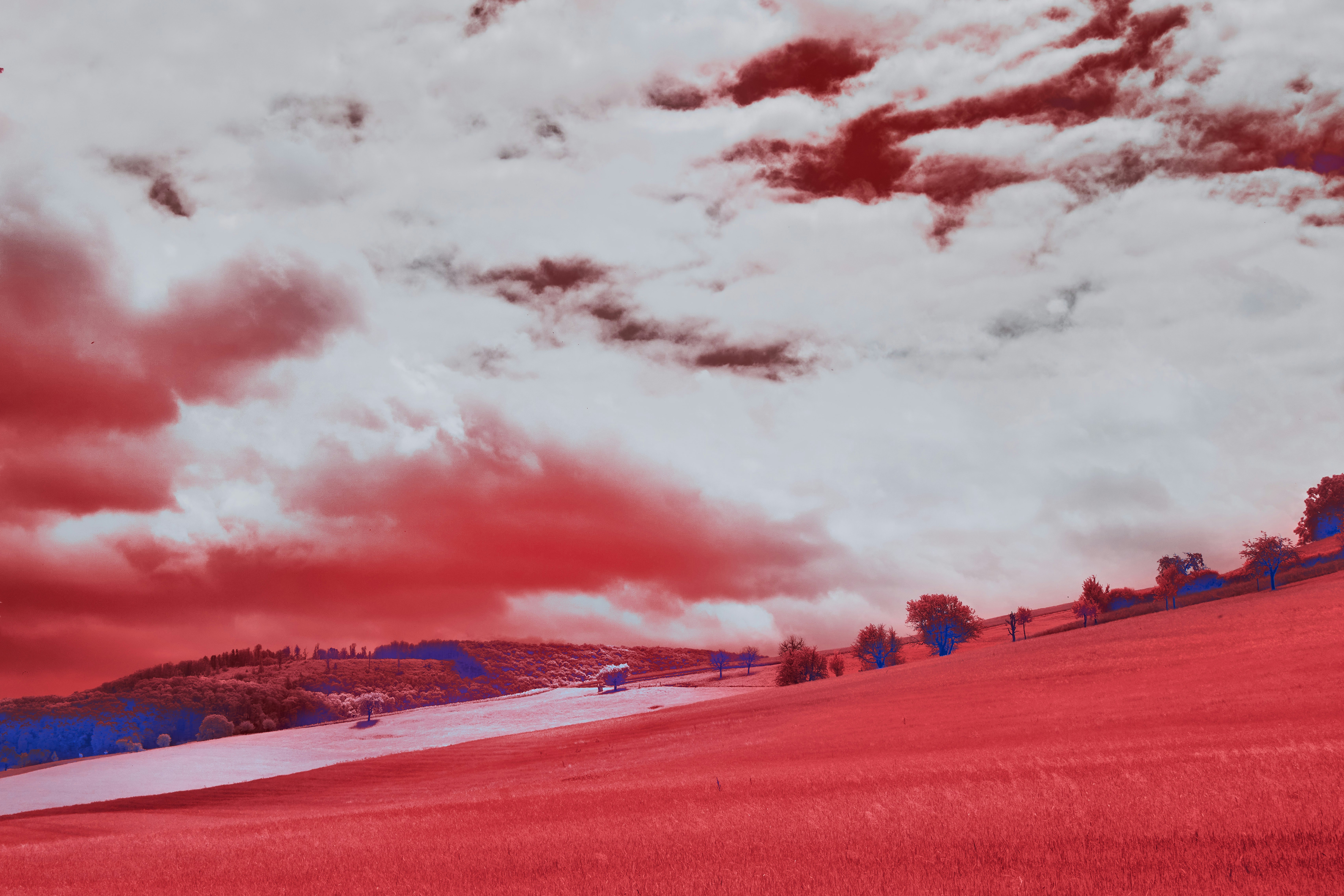 Photo by wolfgang_hasselmann