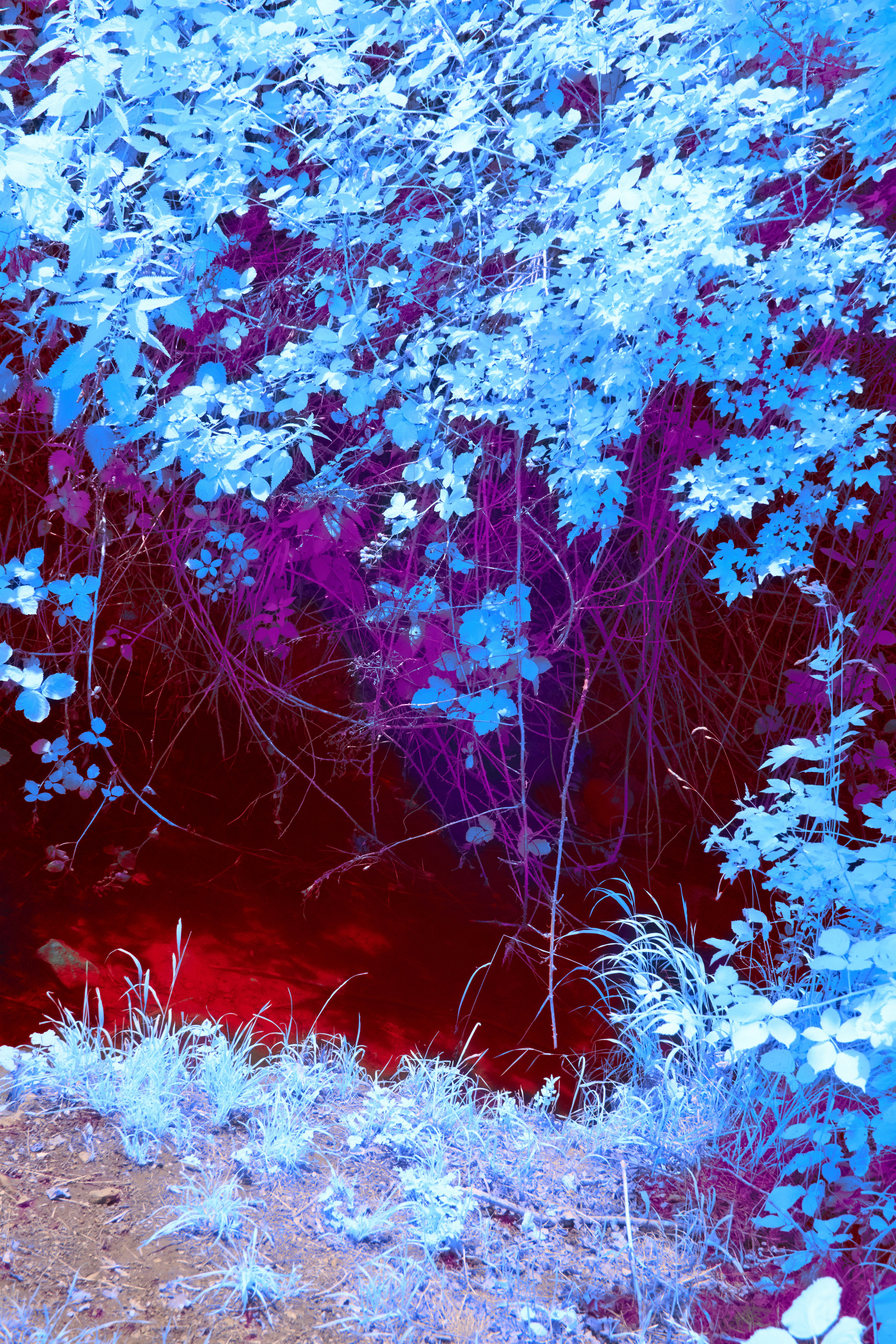 Photo by wolfgang_hasselmann