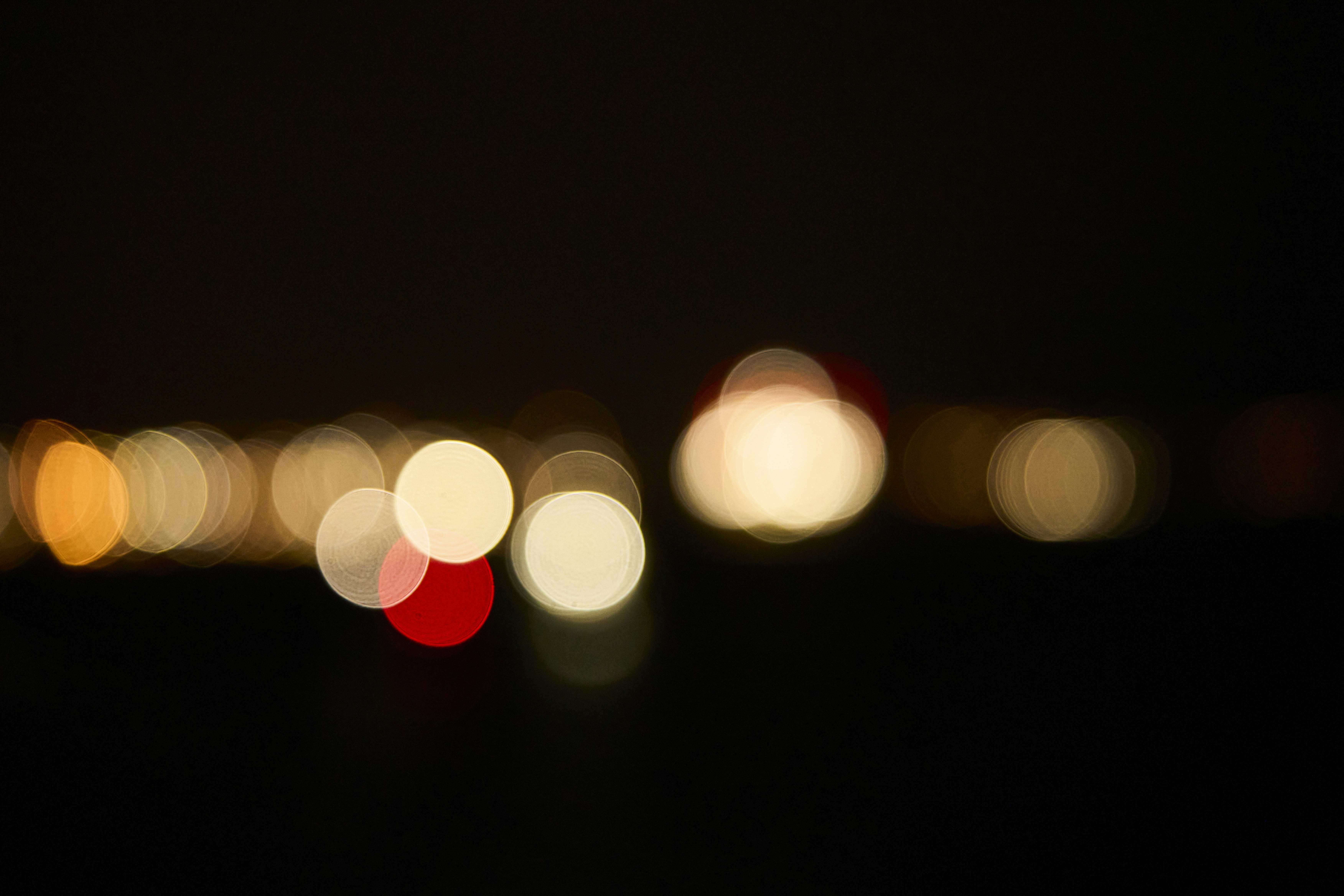 Photo by wolfgang_hasselmann