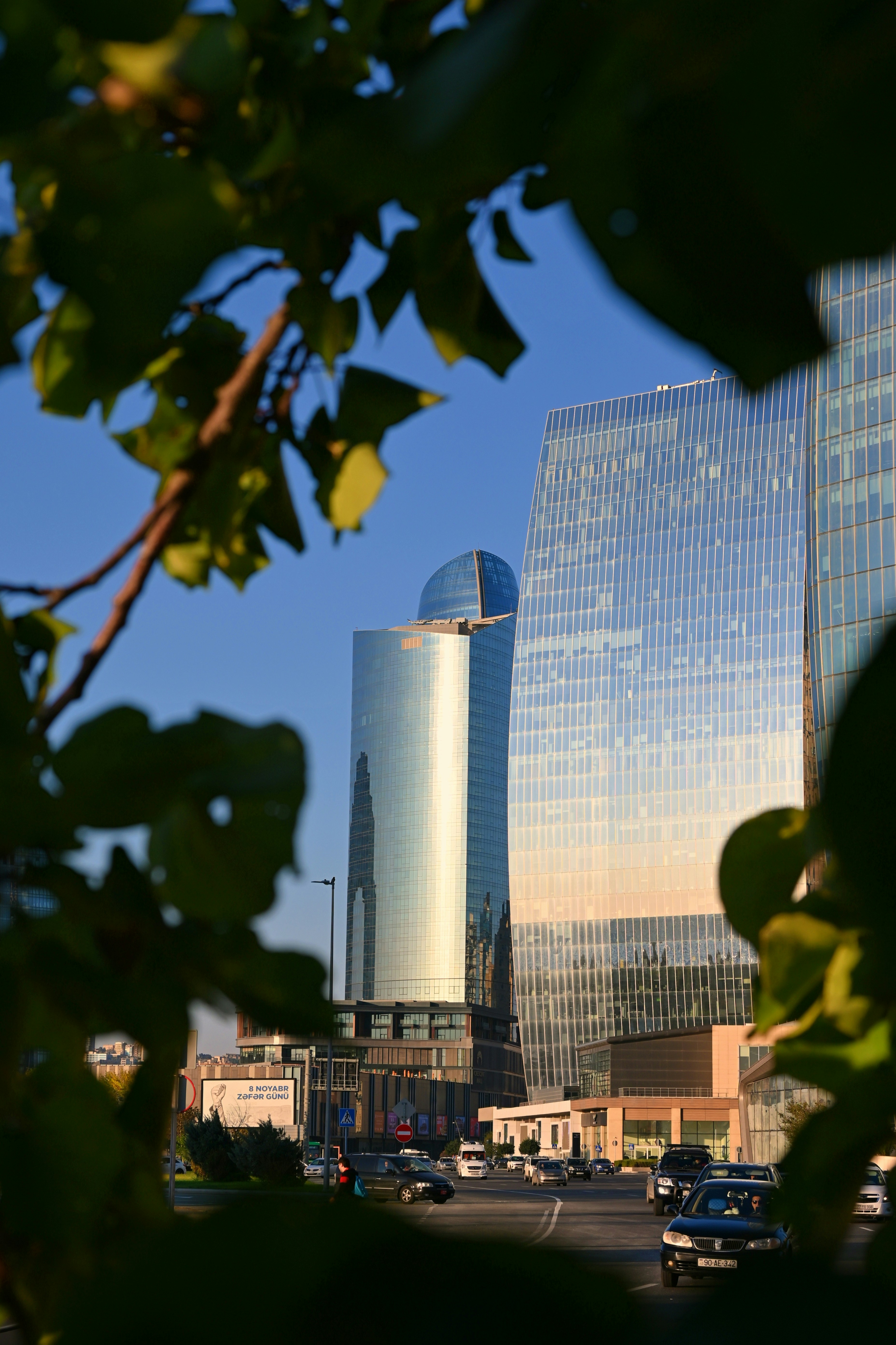 Photo by thesilvafocus