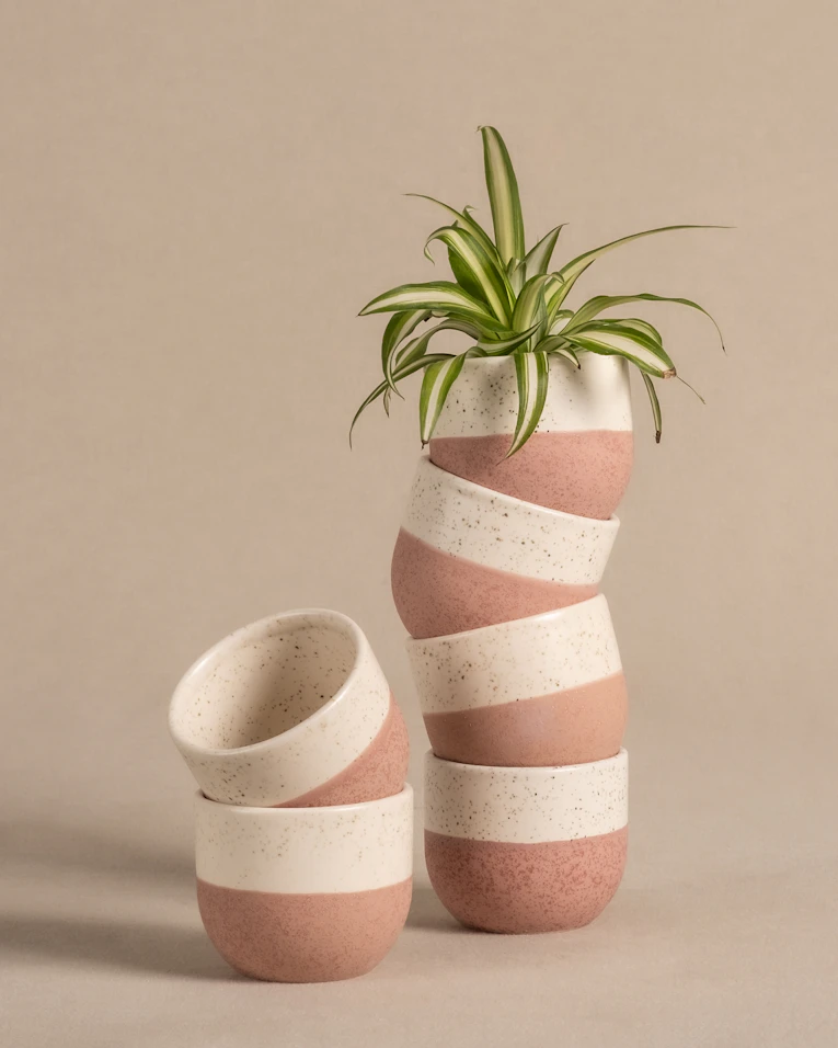 Small Terracotta Plant Pot Budget Home Decor 2026