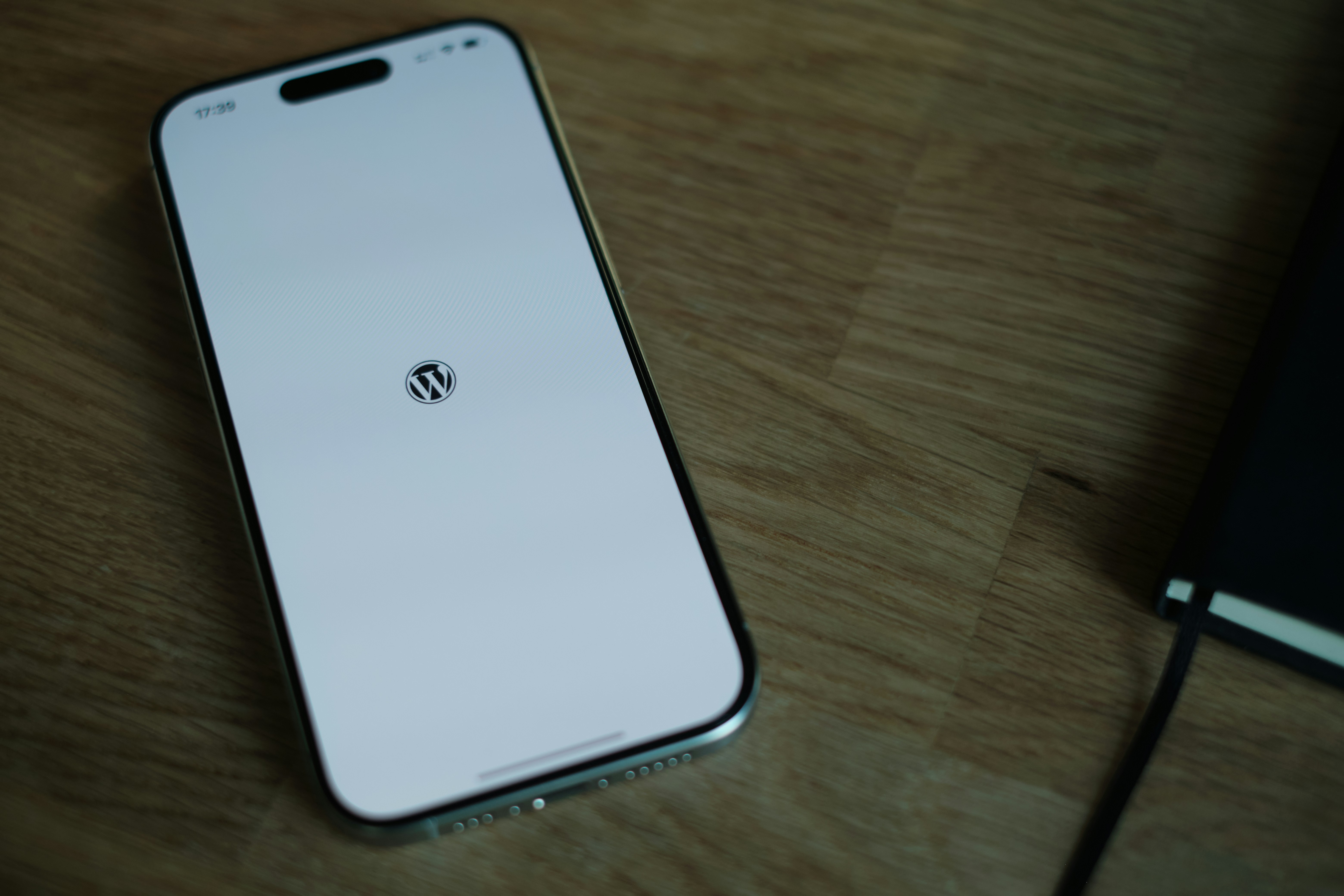 Mastering WordPress Development: What Does a WordPress Developer Actually Do?