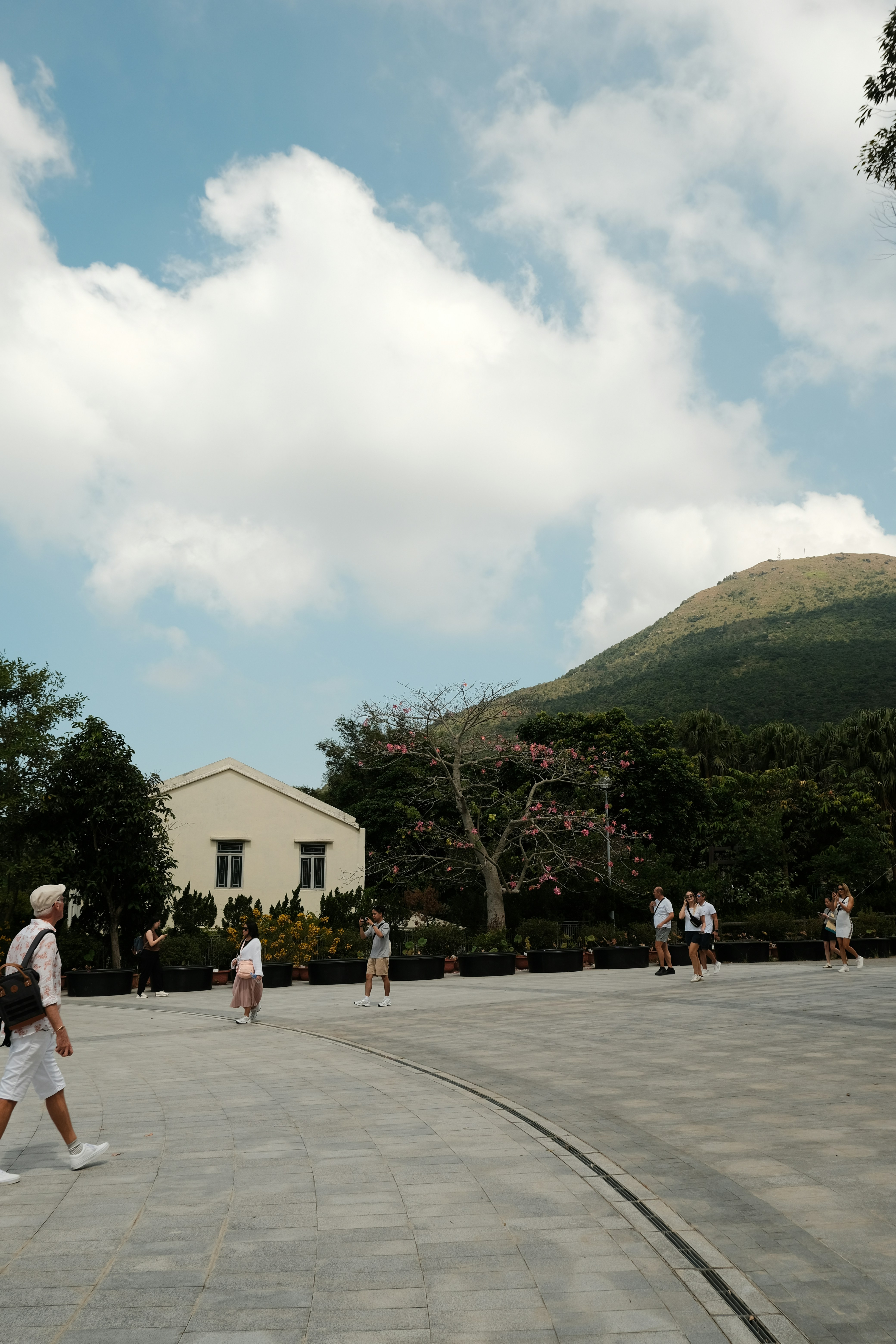 The Wild Heart of Hong Kong