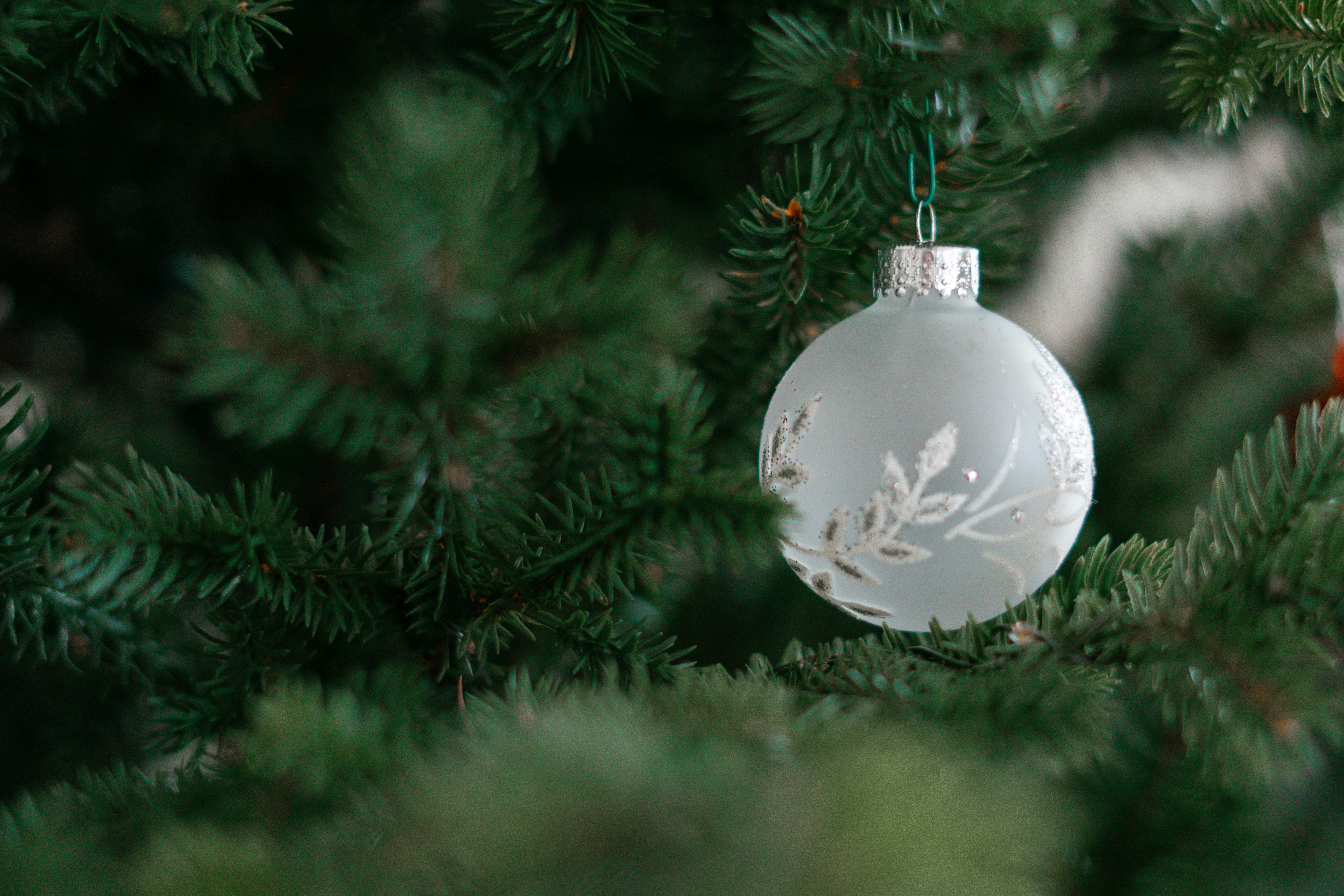 A white ornament hanging from a christmas tree