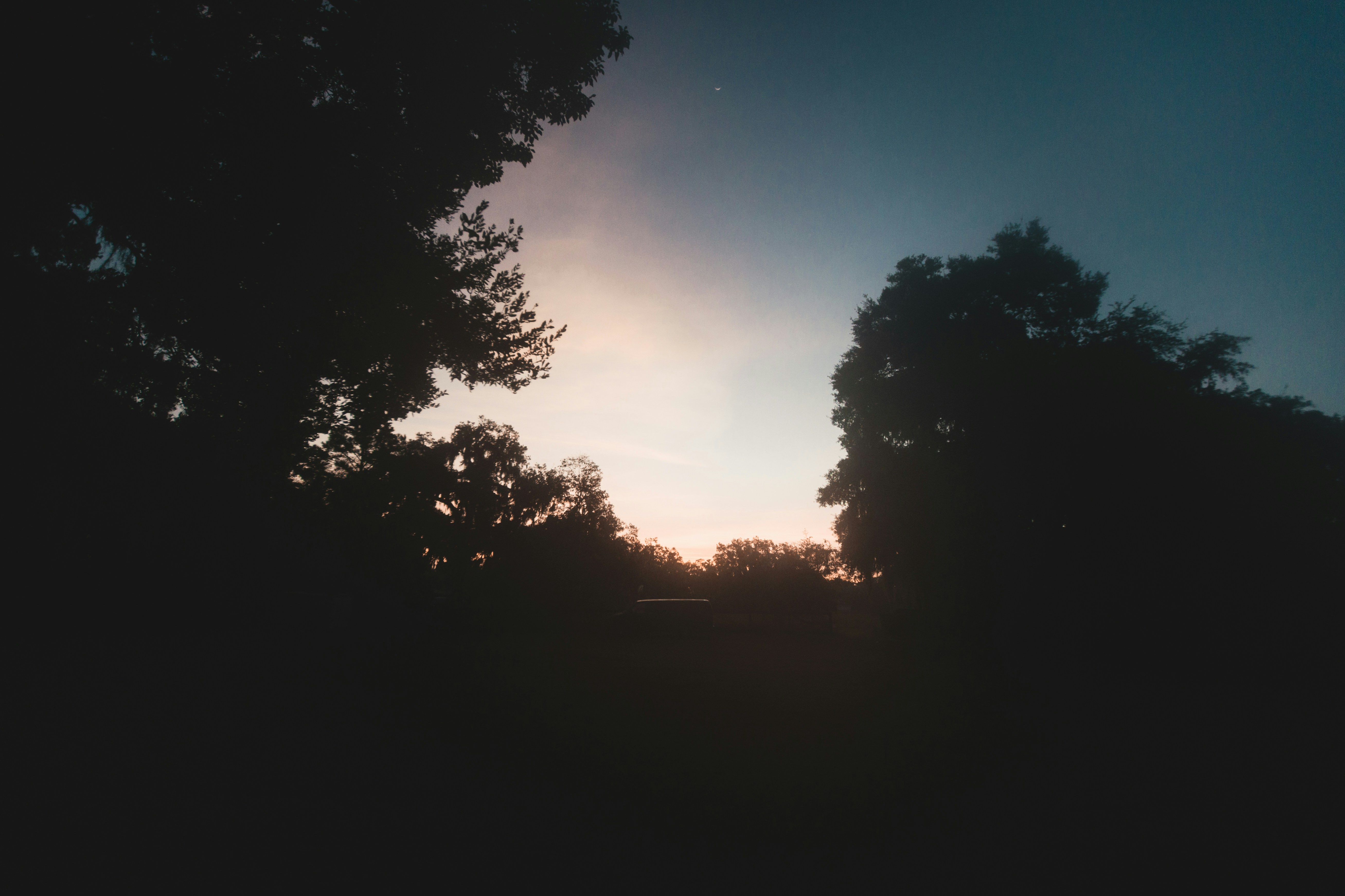 Photo by andrew_creative