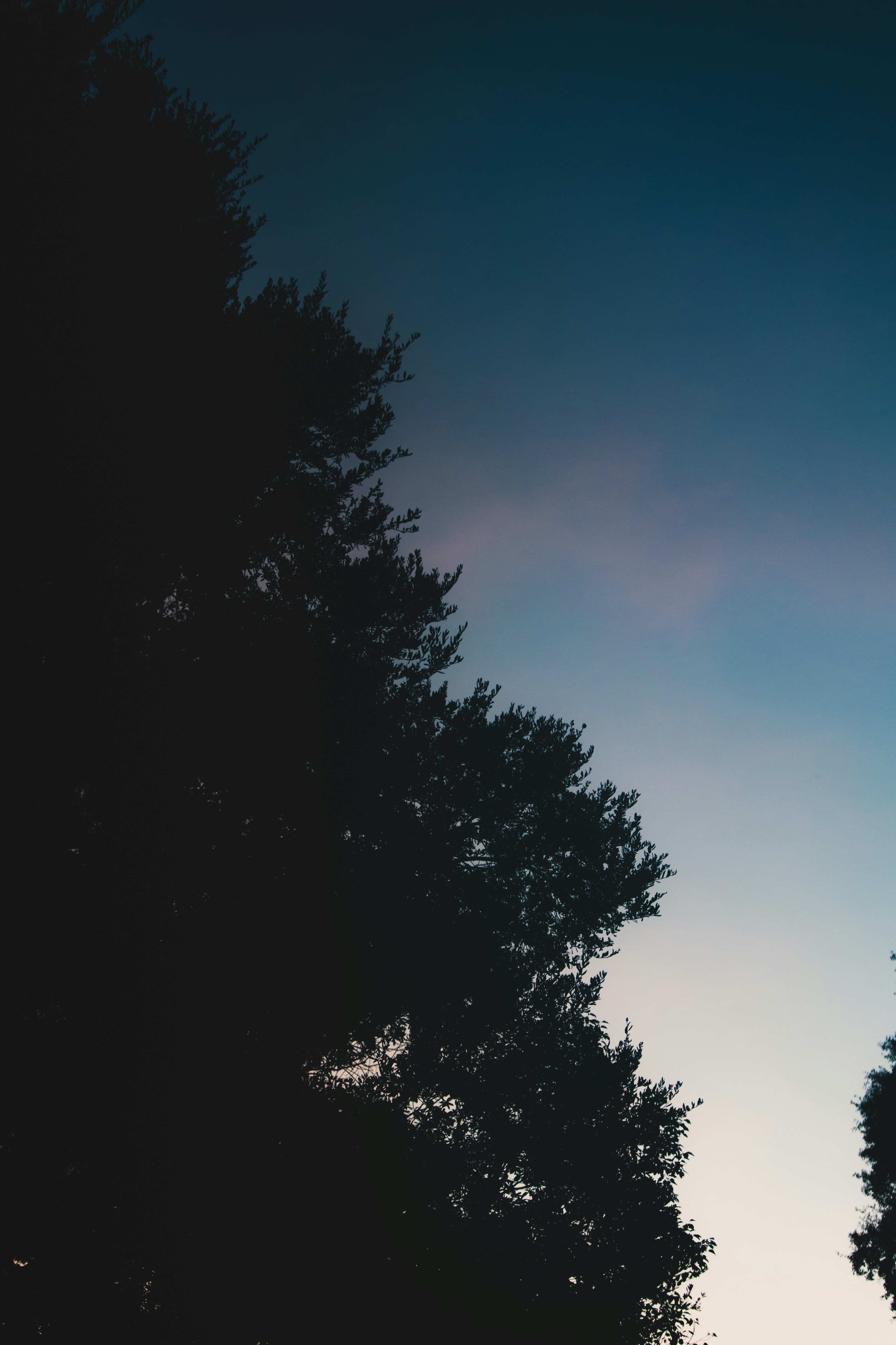 Photo by andrew_creative