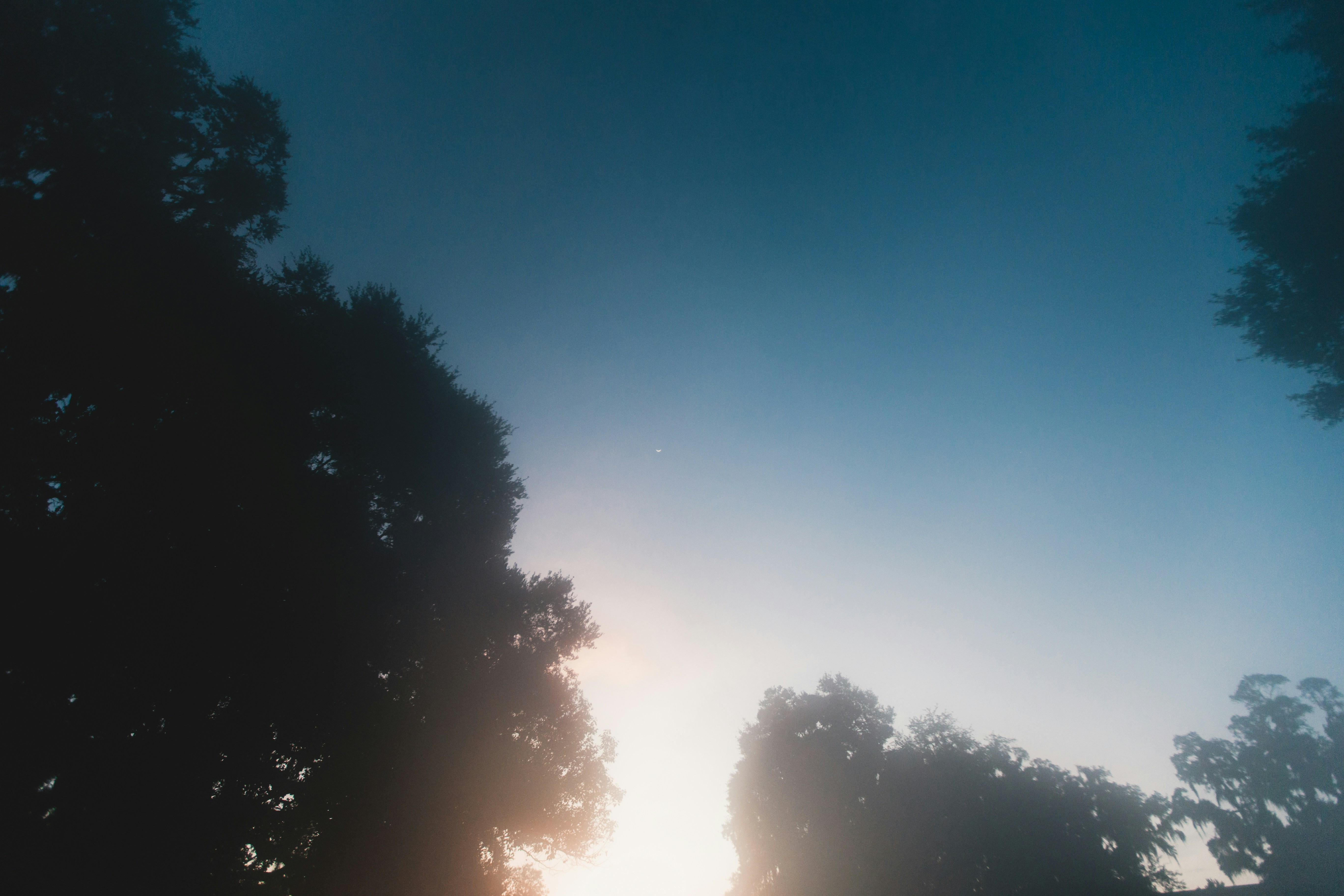 photo-1730819668214-87c4cb344371?ixid=M3wxMjA3fDB8MXxzZWFyY2h8MTV8fGRvbm5lcnN0YWclMjBzdGFtbXRpc2NofGVufDB8fHx8MTc1NjM5NjA2M3ww\u0026ixlib=rb-4.1.0